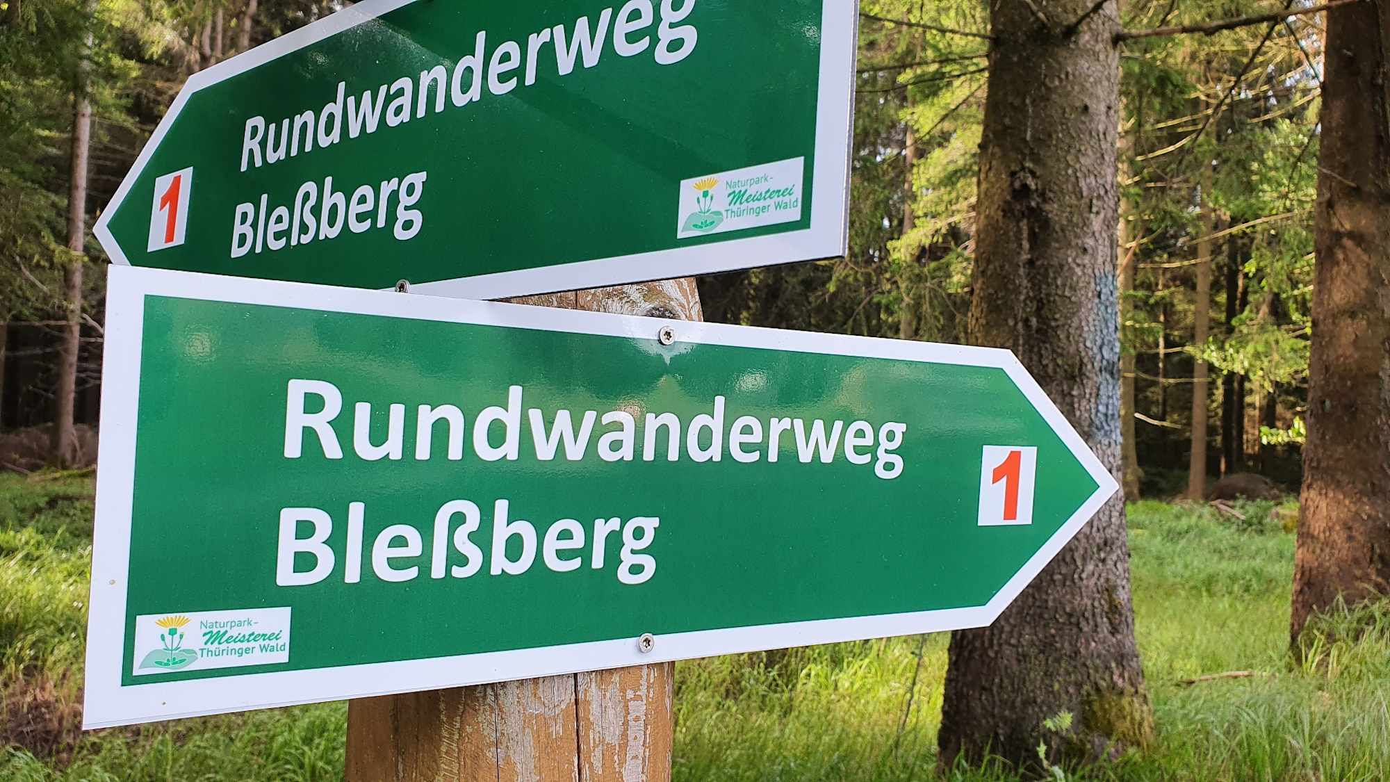 Wegweiser