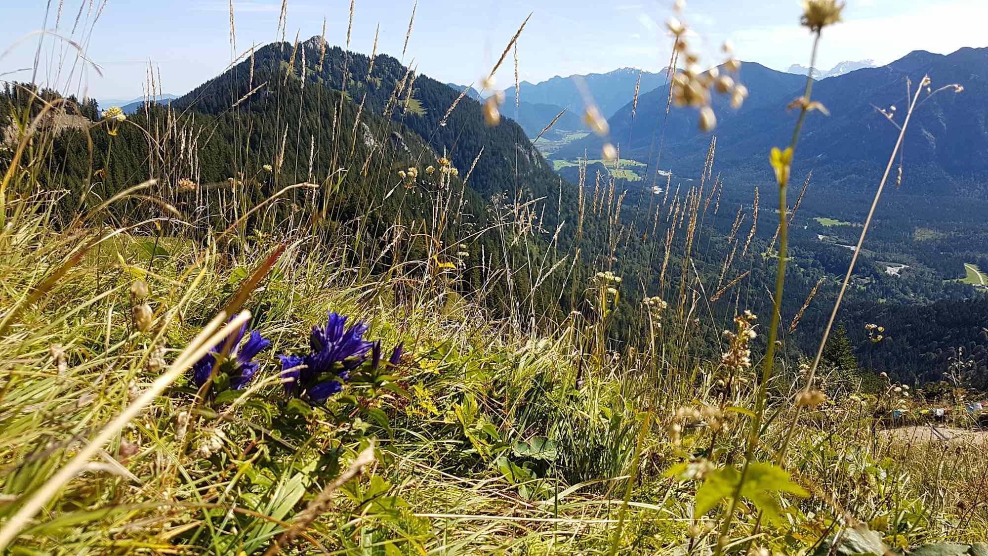 Brunnenkopf mit Blick ins Graswangtal
