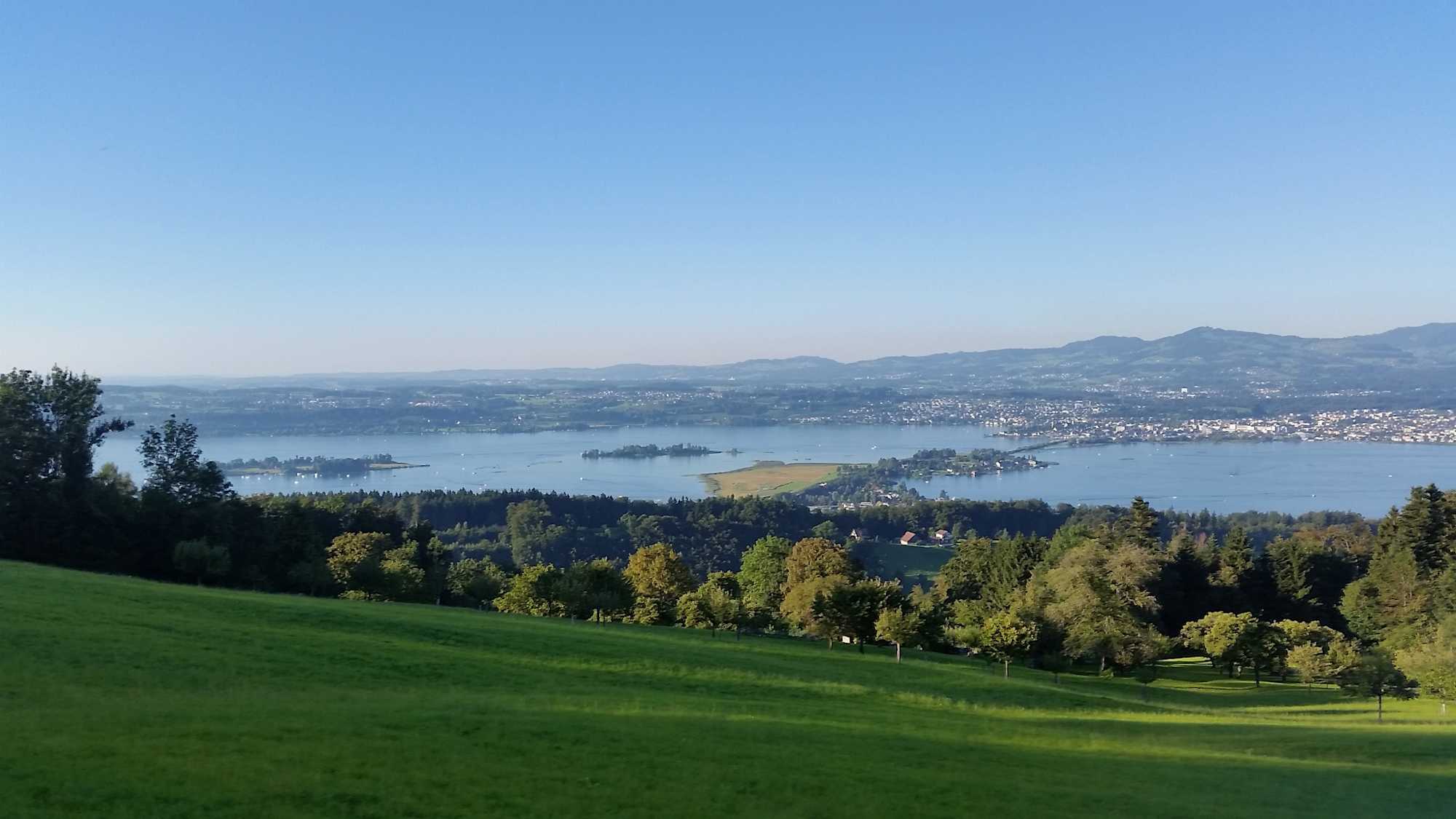 Blick über den Zürichsee