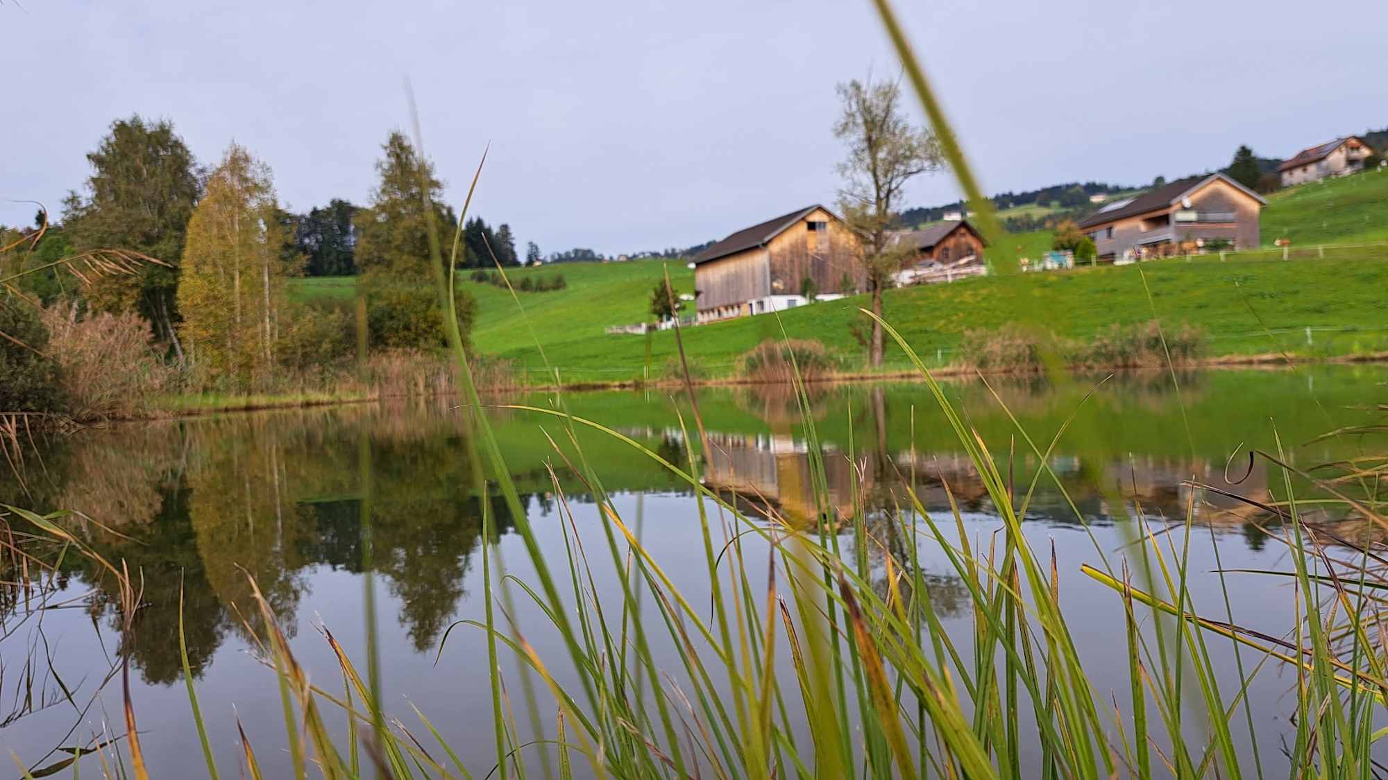 Auf der Rundwanderung bei Lingenau