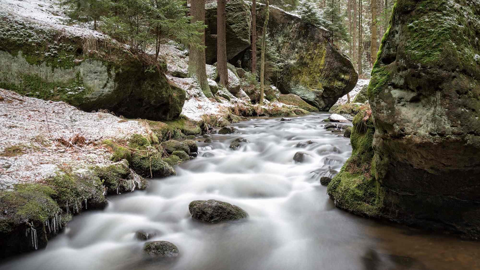 Kirnitzsch