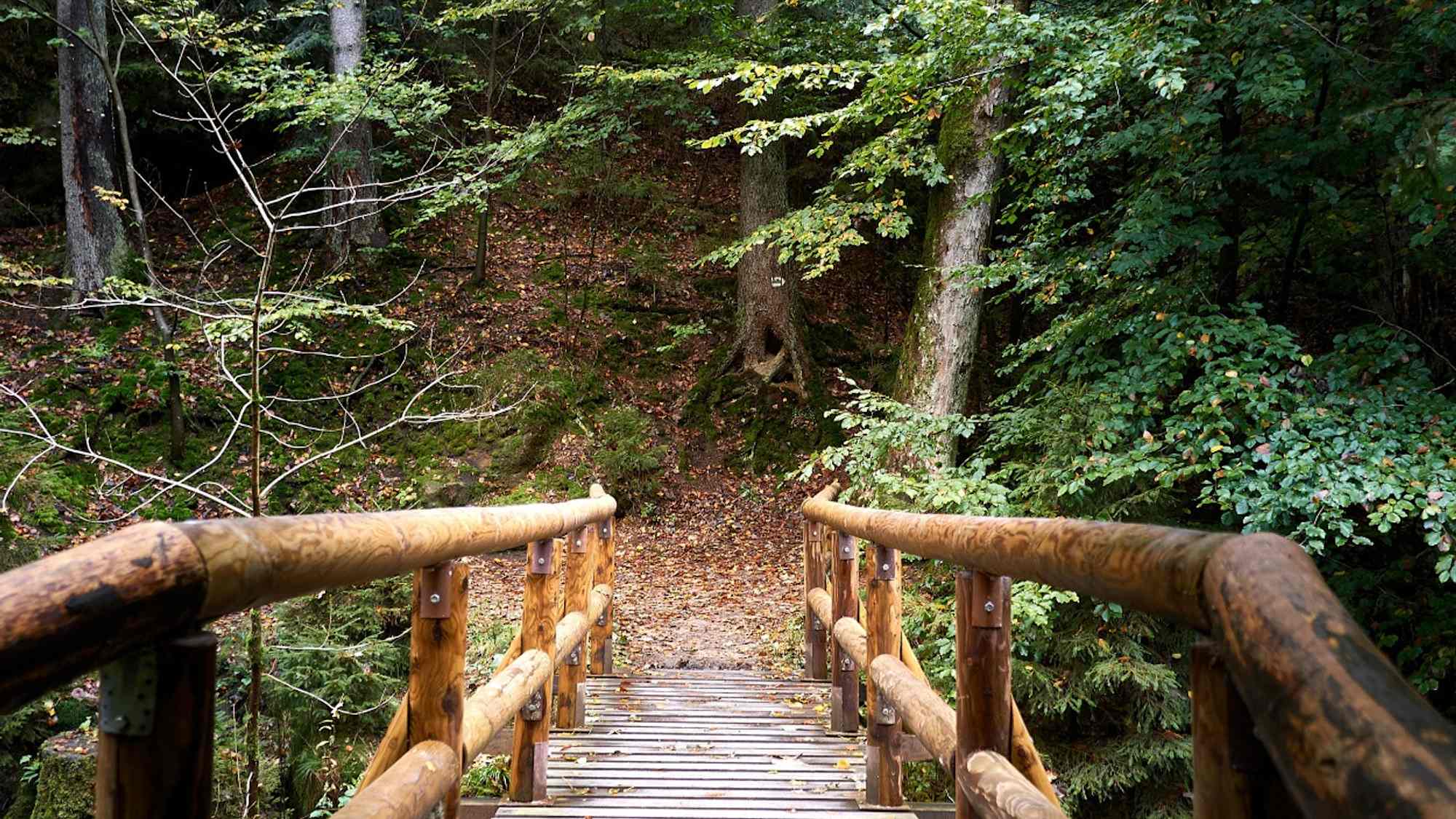 Brücke über die Kirnitzsch