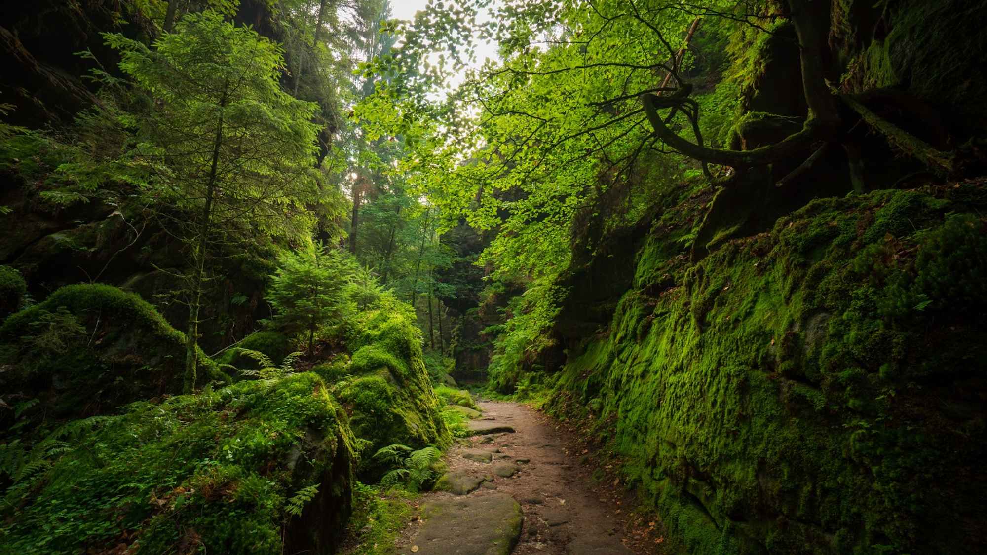 Uttewalder Grund