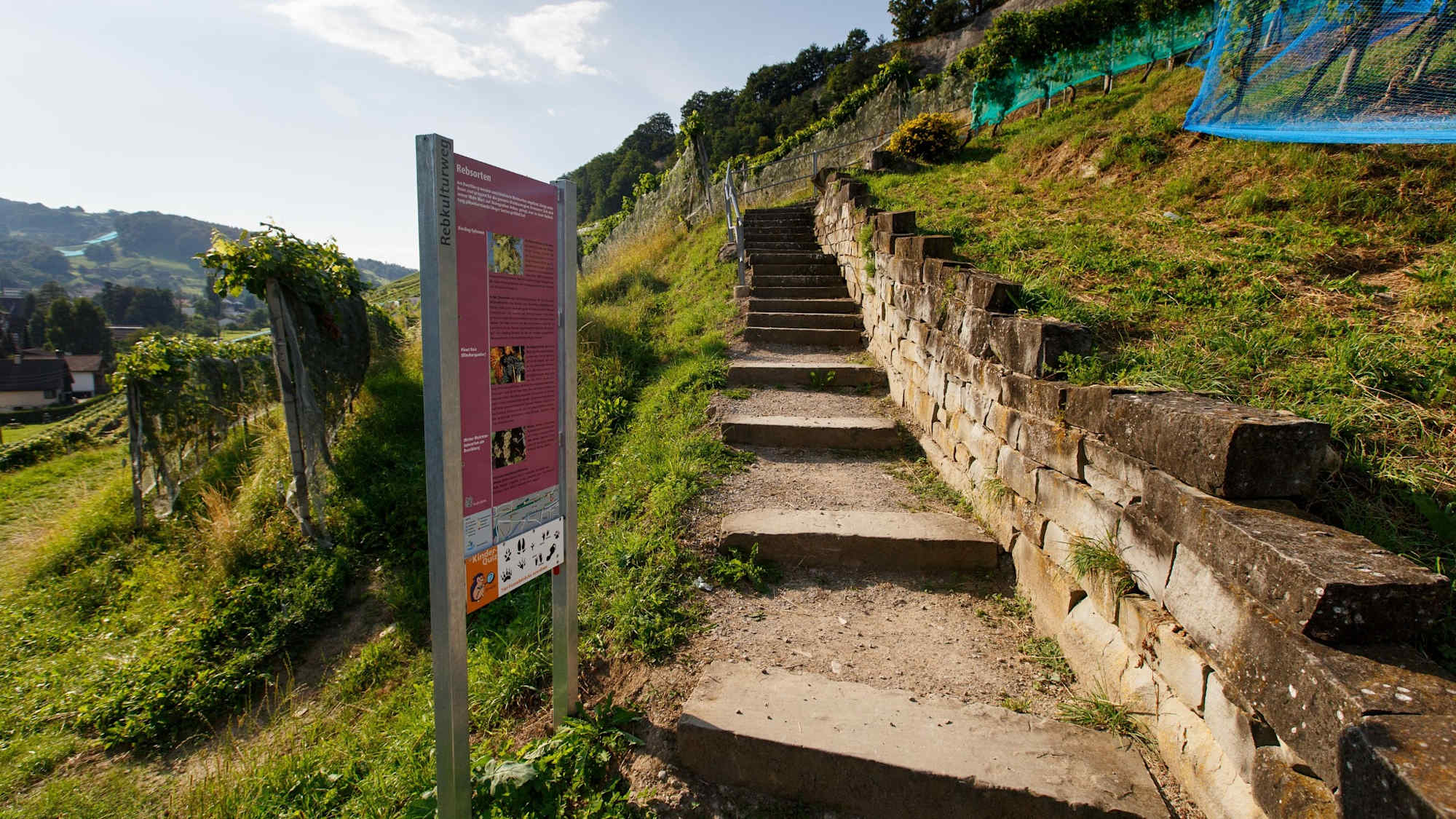Rebkulturweg