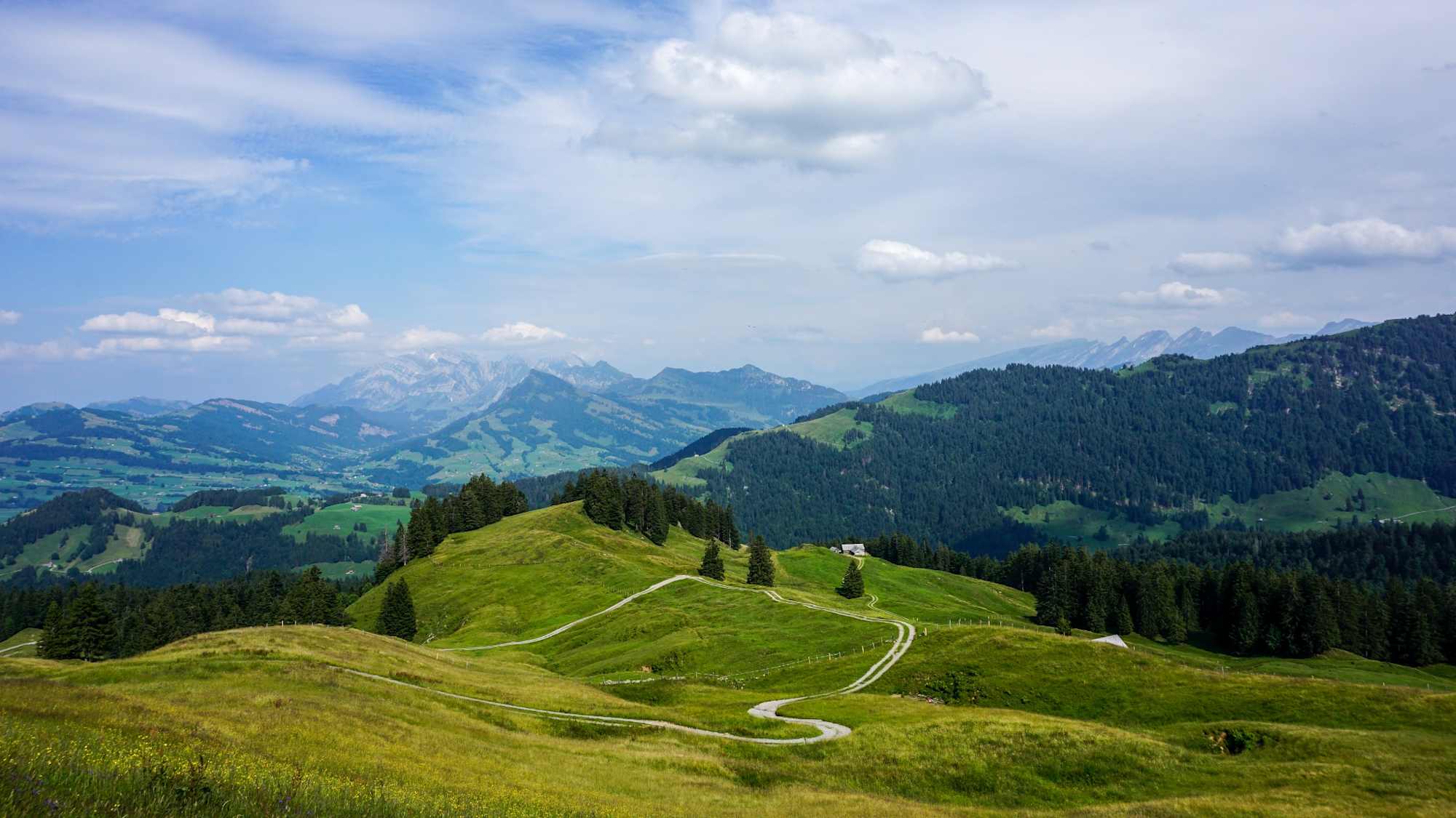 Toggenburger Höhenweg Etappe 3 Blick Säntis Churfirsten