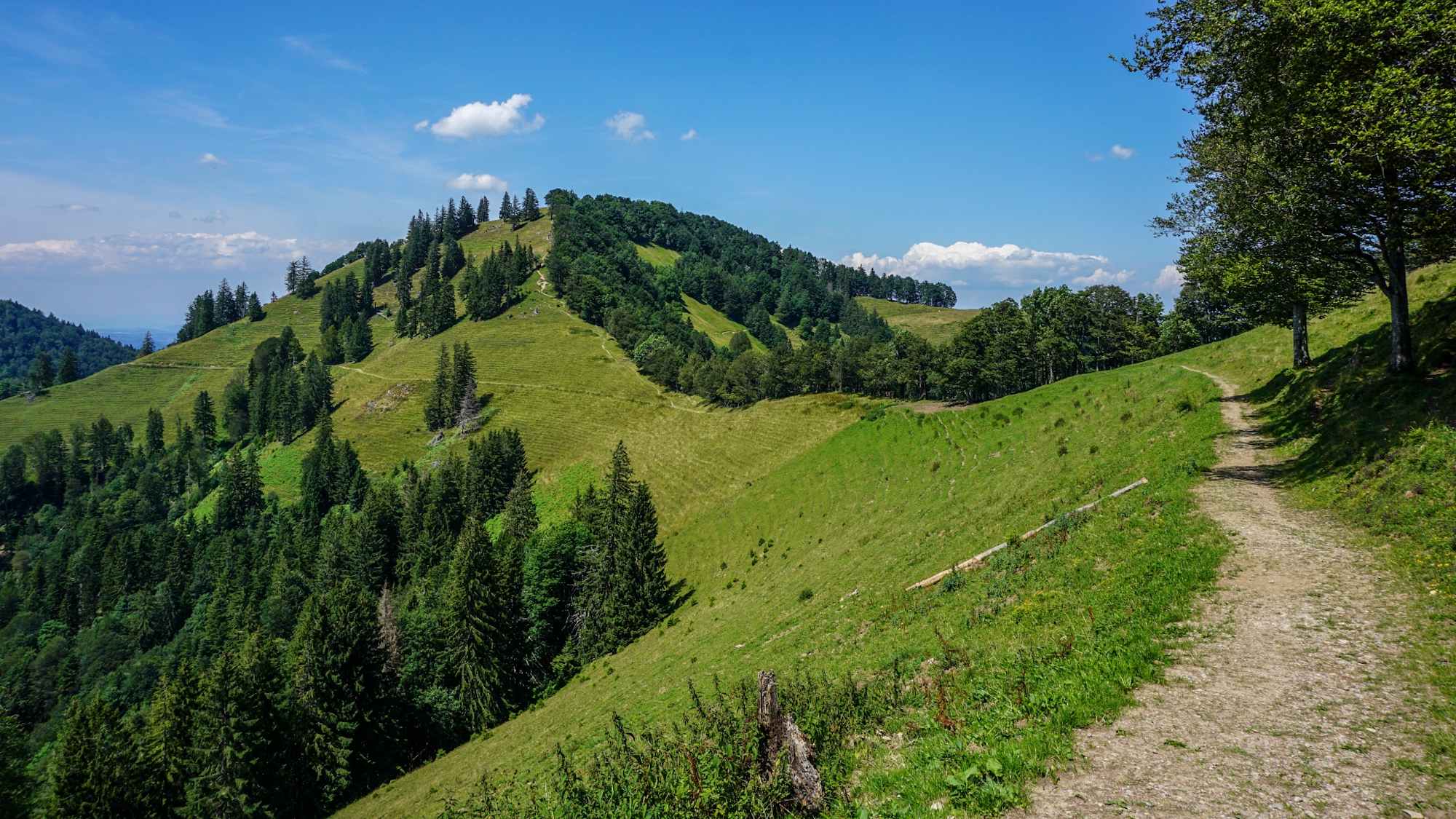 Toggenburger Höhenweg Etappe 5 Blick Schnebelhorn