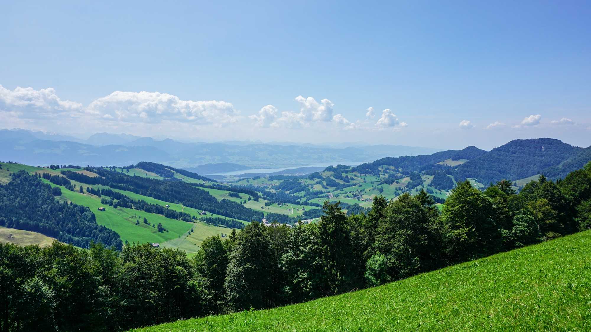 Toggenburger Höhenweg Etappe 5 Blick Zürichsee