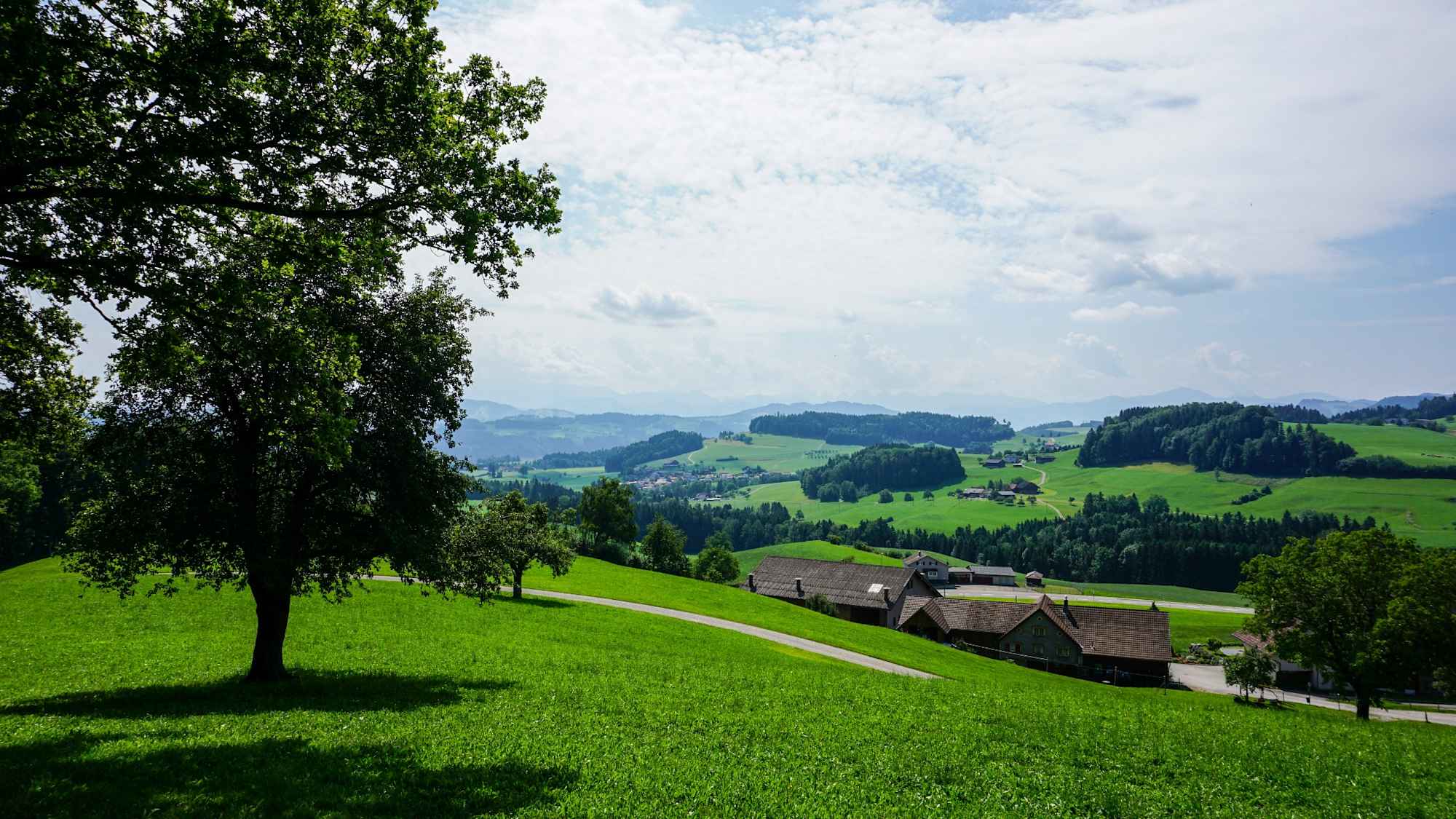Toggenburger Höhenweg Etappe 6 Blick nördliches Toggenburg