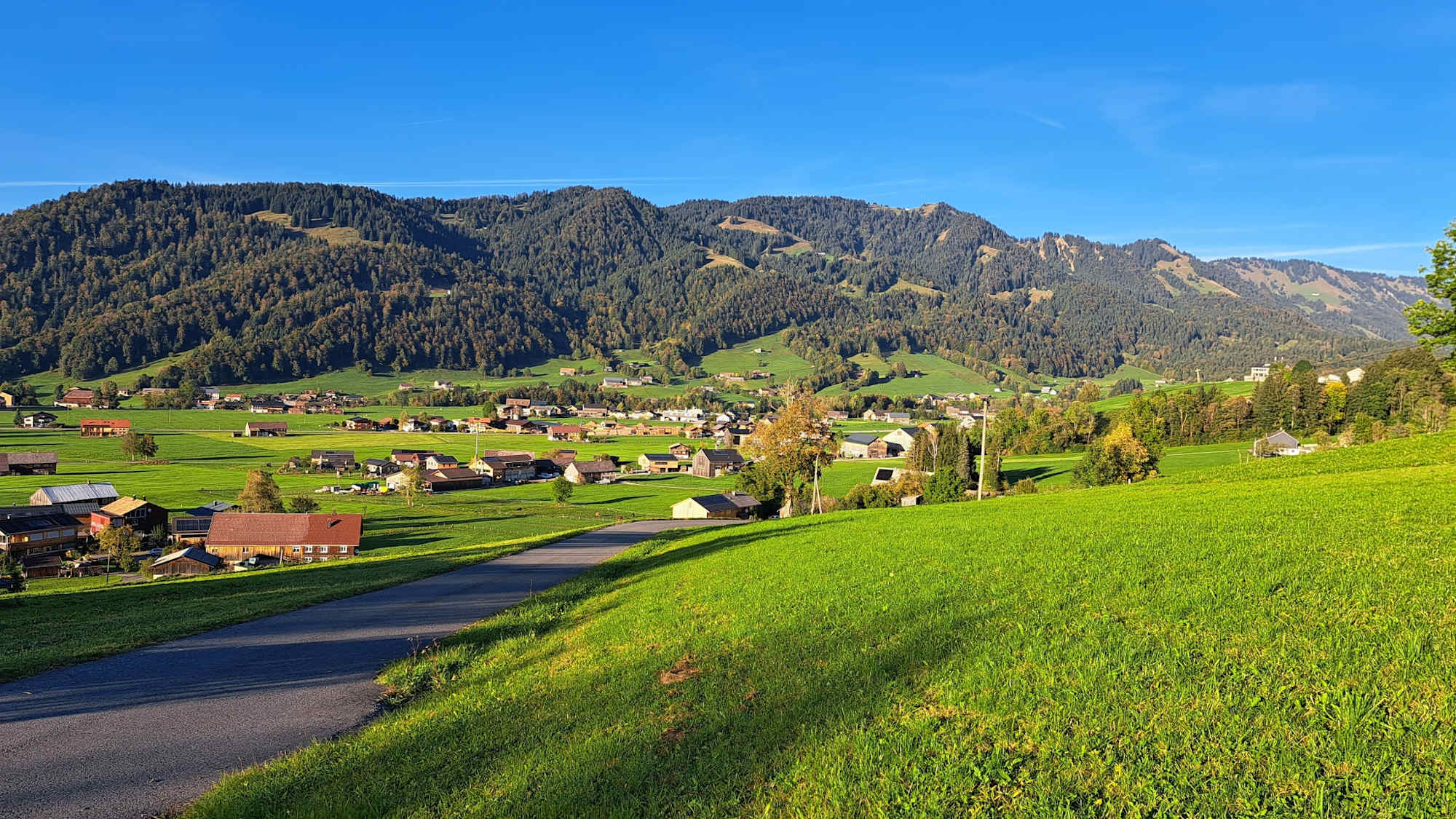 Ausblick auf Hittisau und die Nagelfluhkette im Hintergrund
