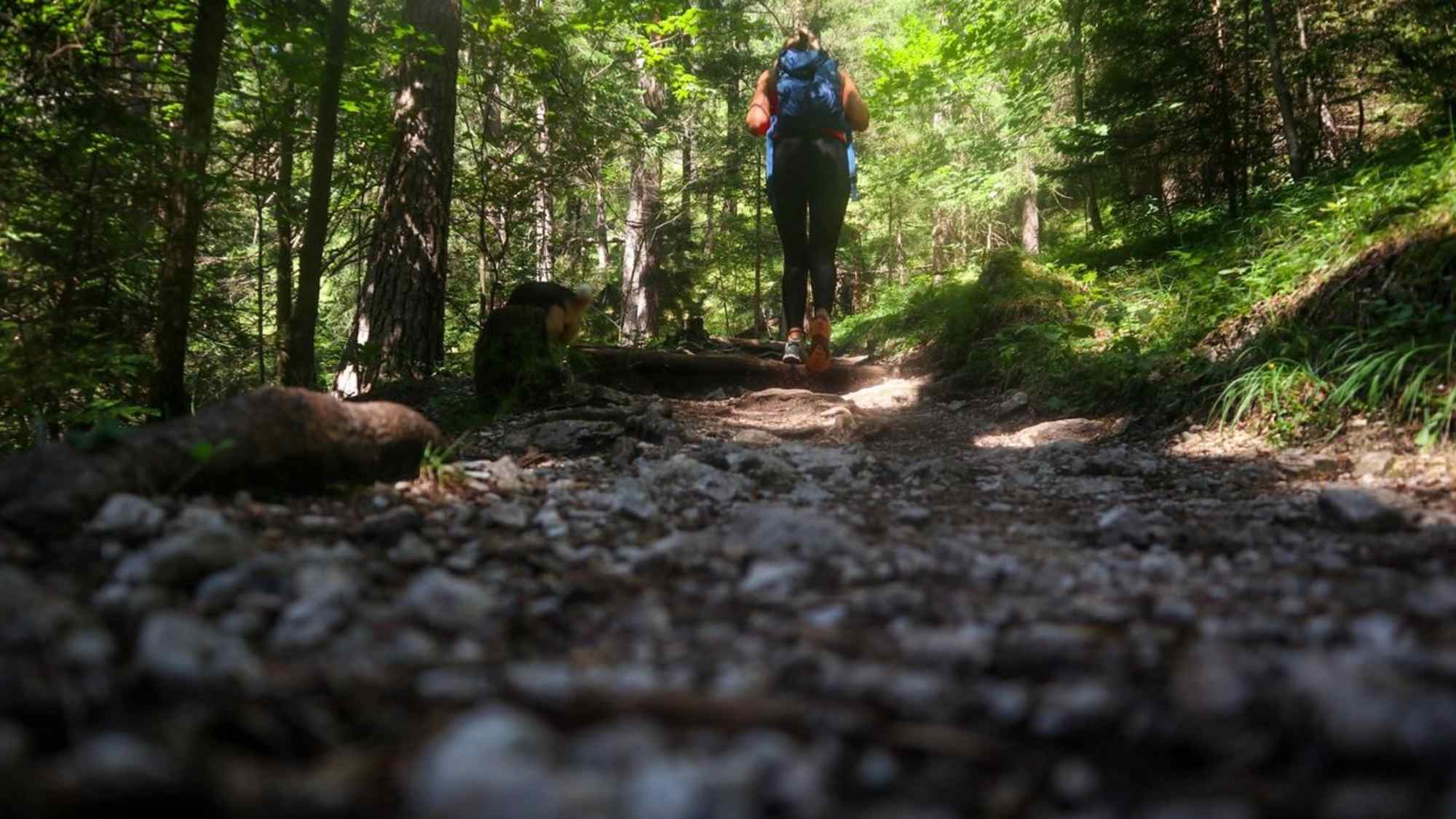 Wanderweg zur Tannenhütte