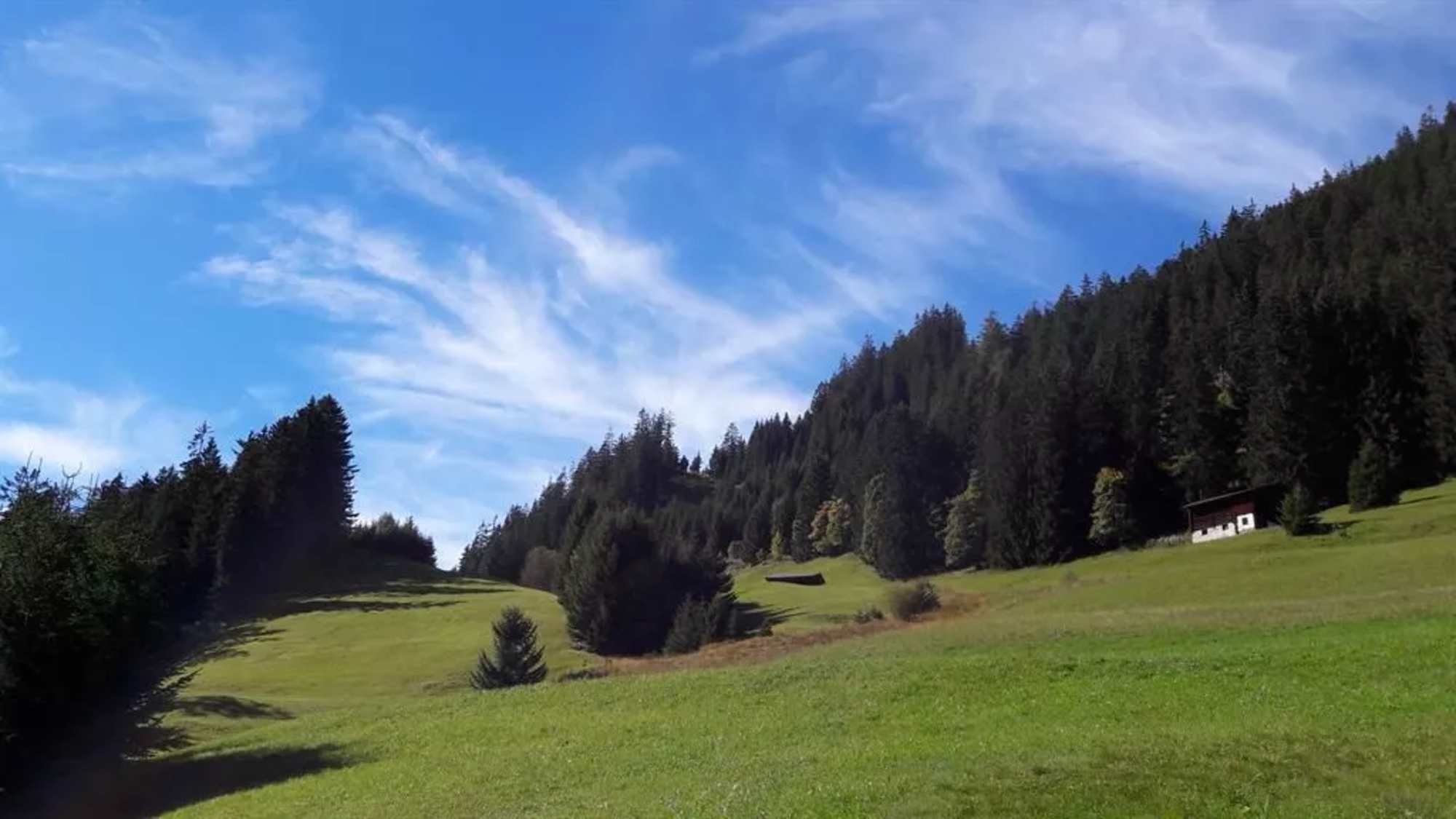 Schönen Bergwiesen bei Gföll