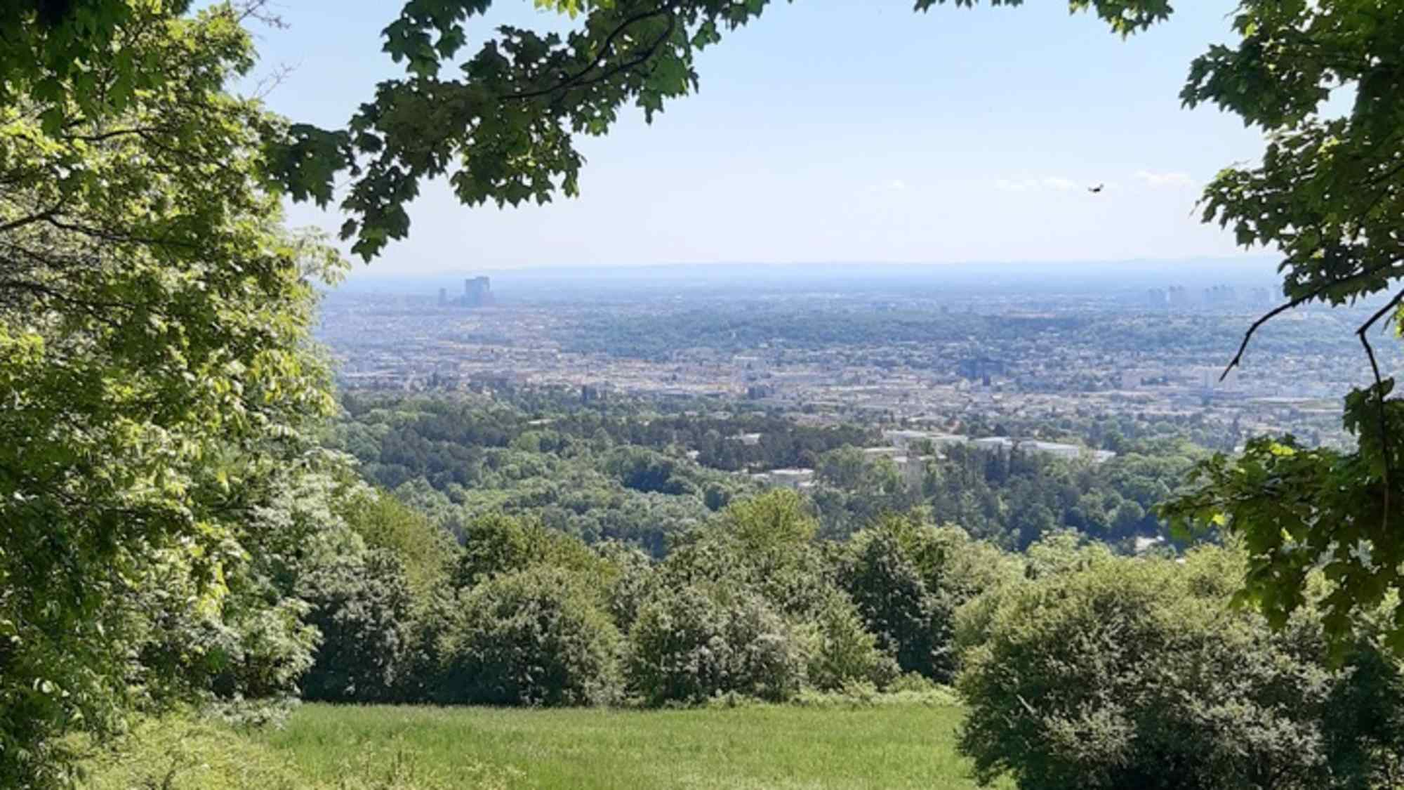 Wunderbare Aussicht auf Wien