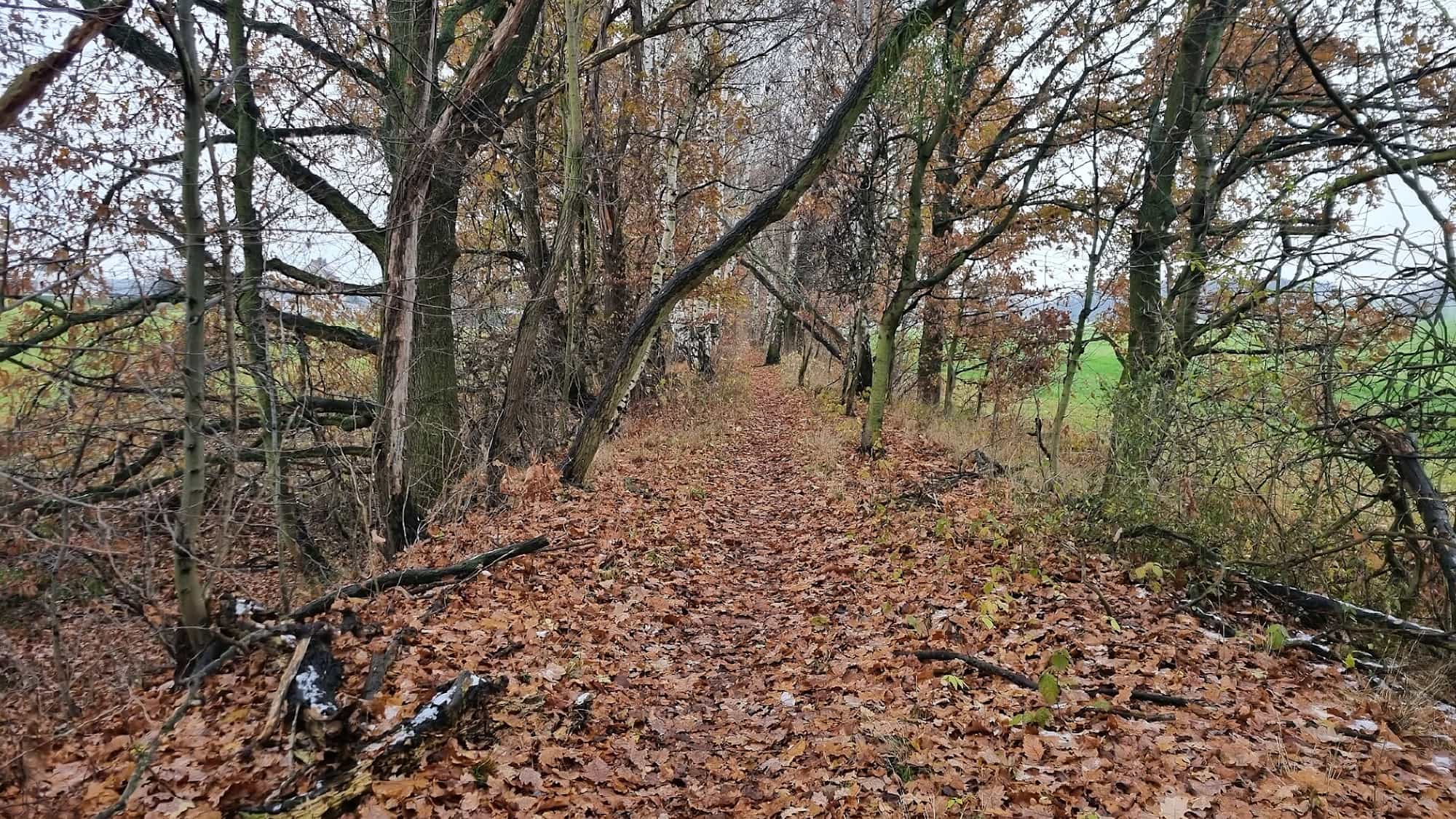 Auf der Winterwanderung