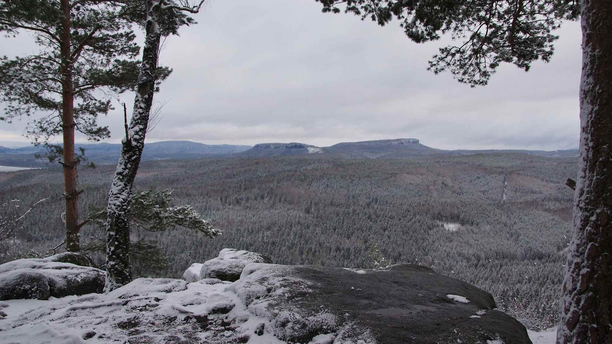Schneebergblick