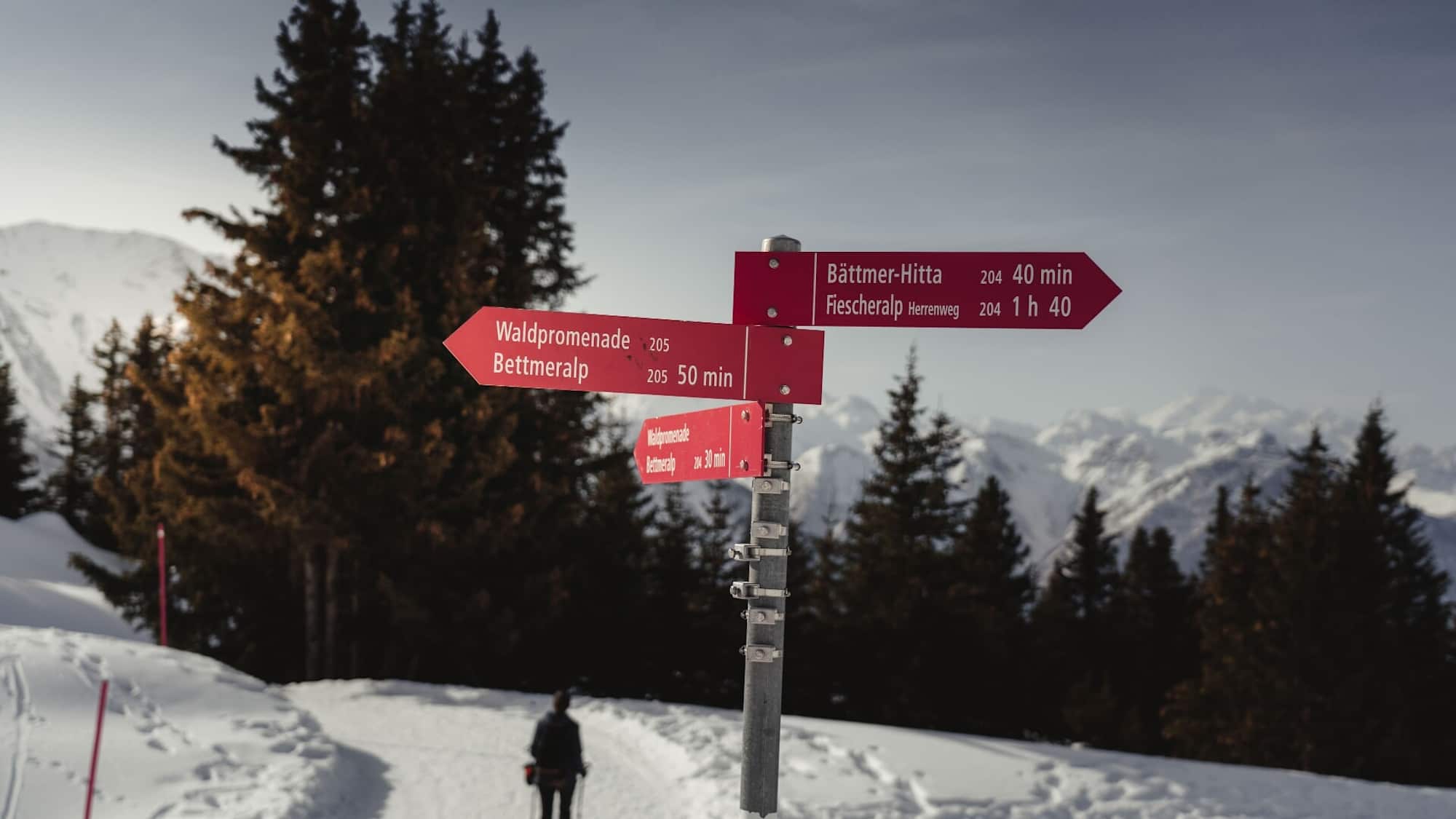 Im letzten Abschnitt der Wanderung