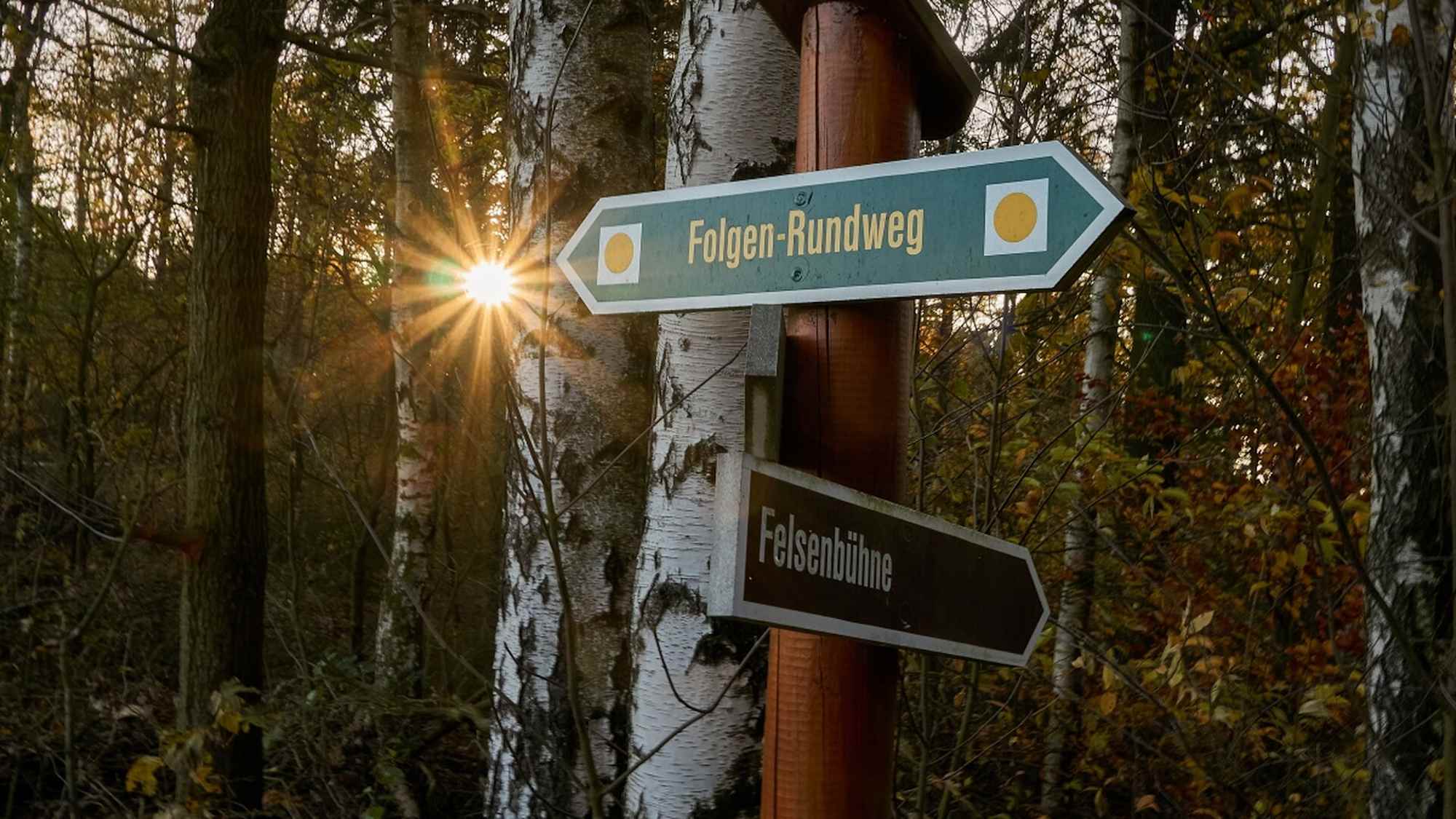 Wegweiser Folgenweg Gohrisch