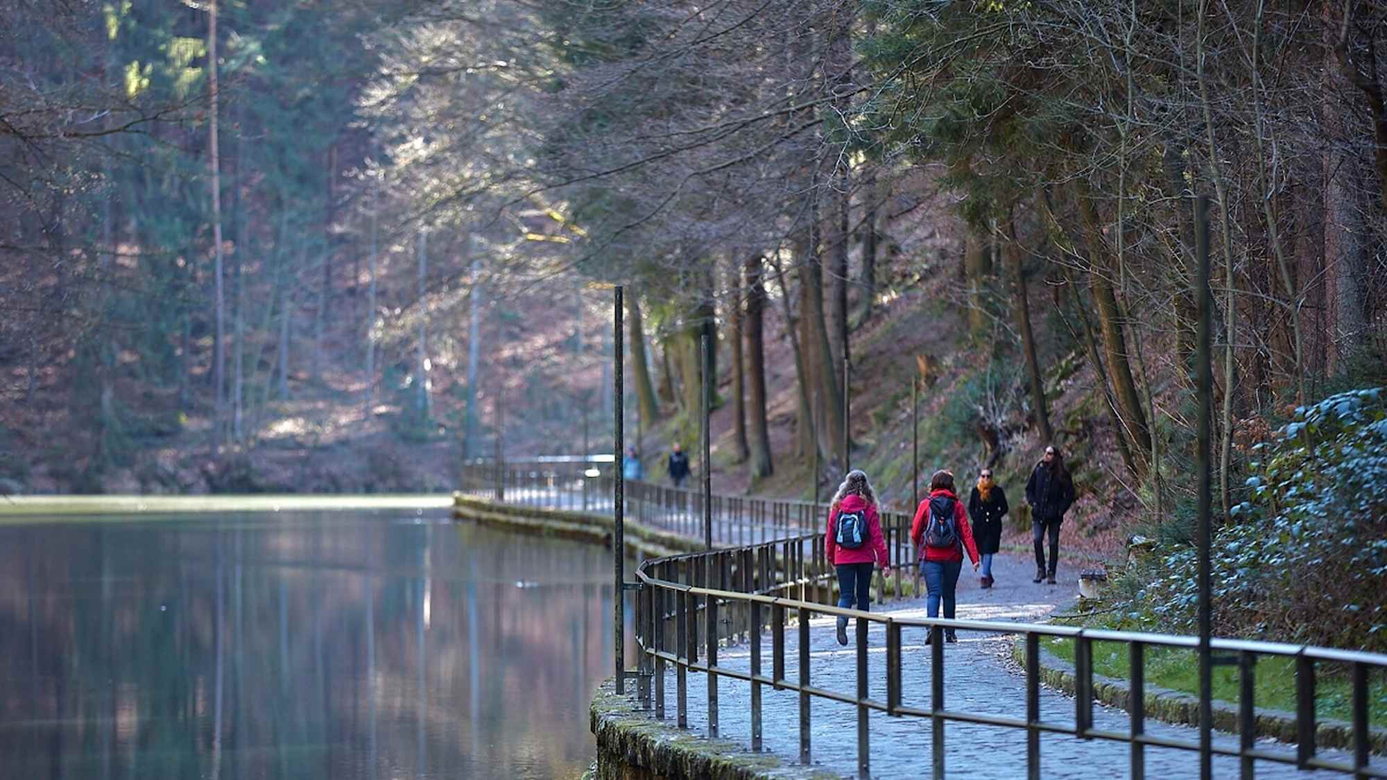 Wandern im Amselgrund
