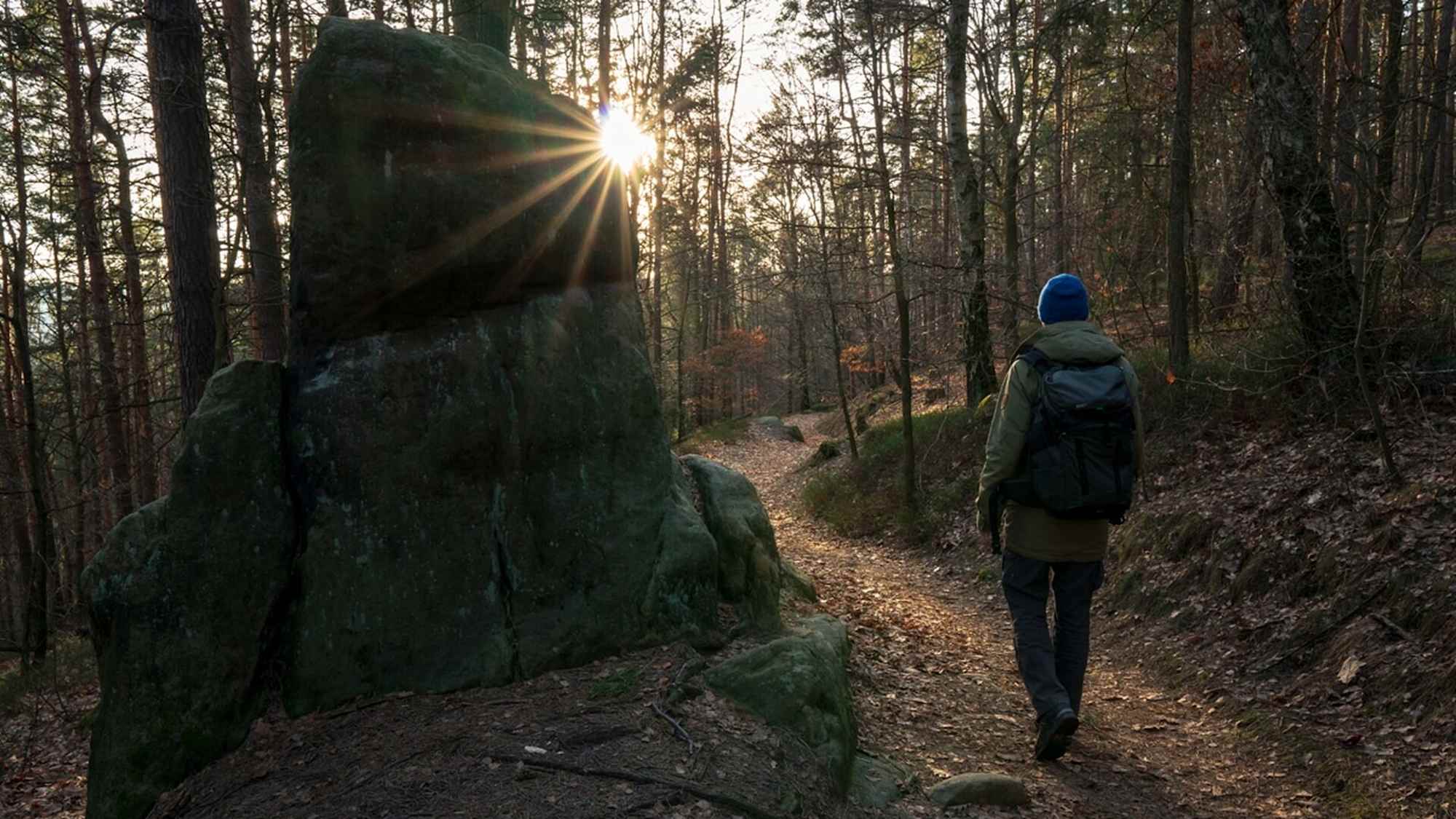 Wanderweg am Lilienstein