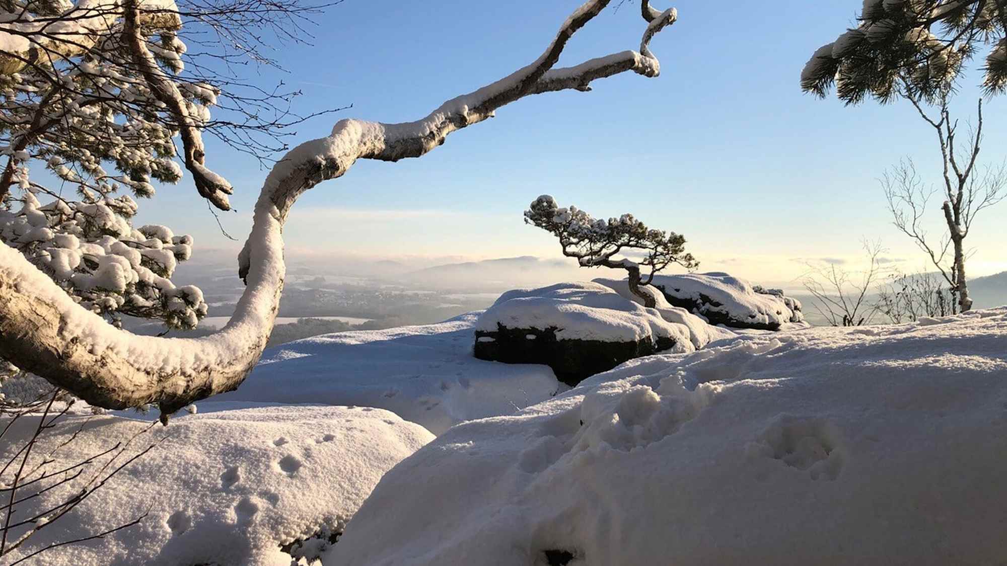 Auf dem Lilienstein