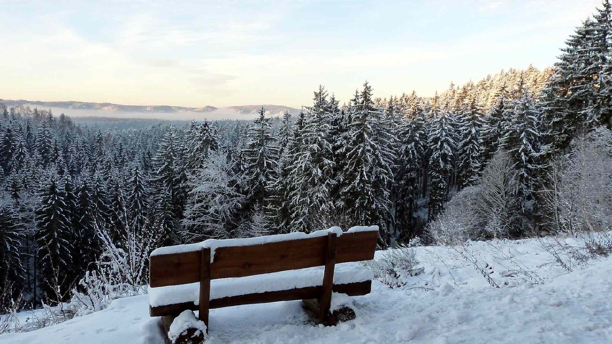 Winterwald bei Sebnitz