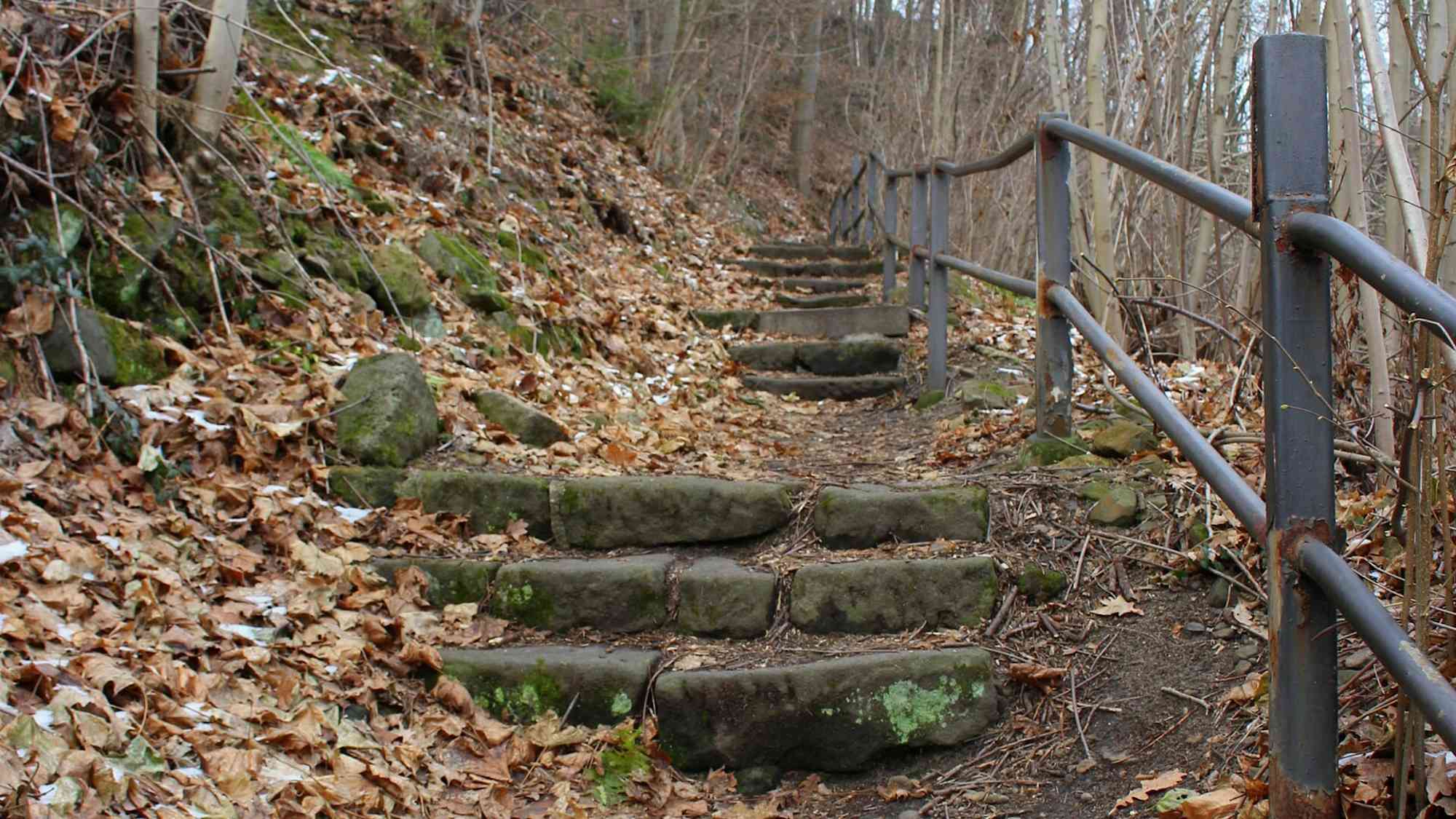 Weg hinauf zum Burglehnpfad