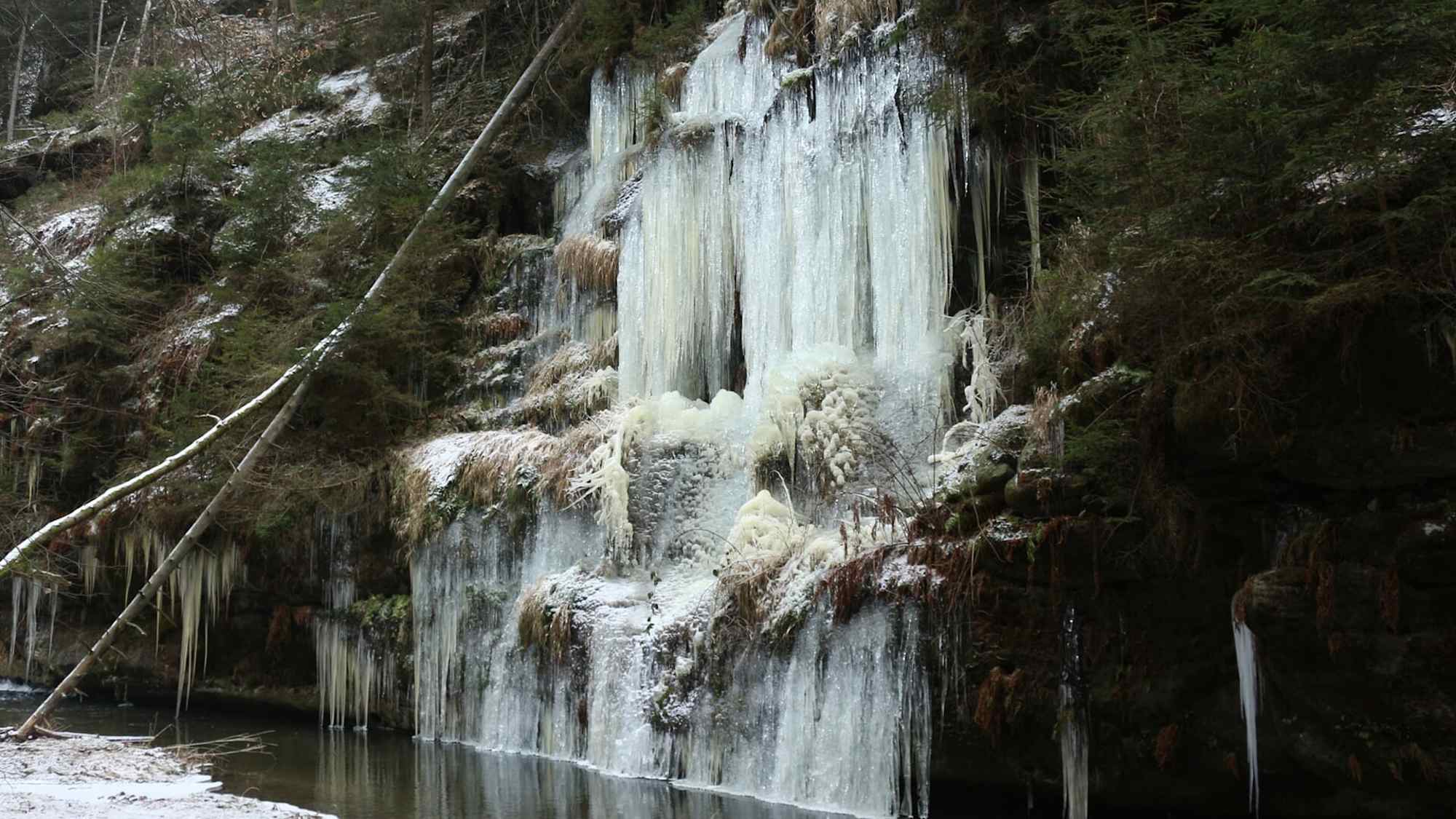 Eiszapfen im Polenztal