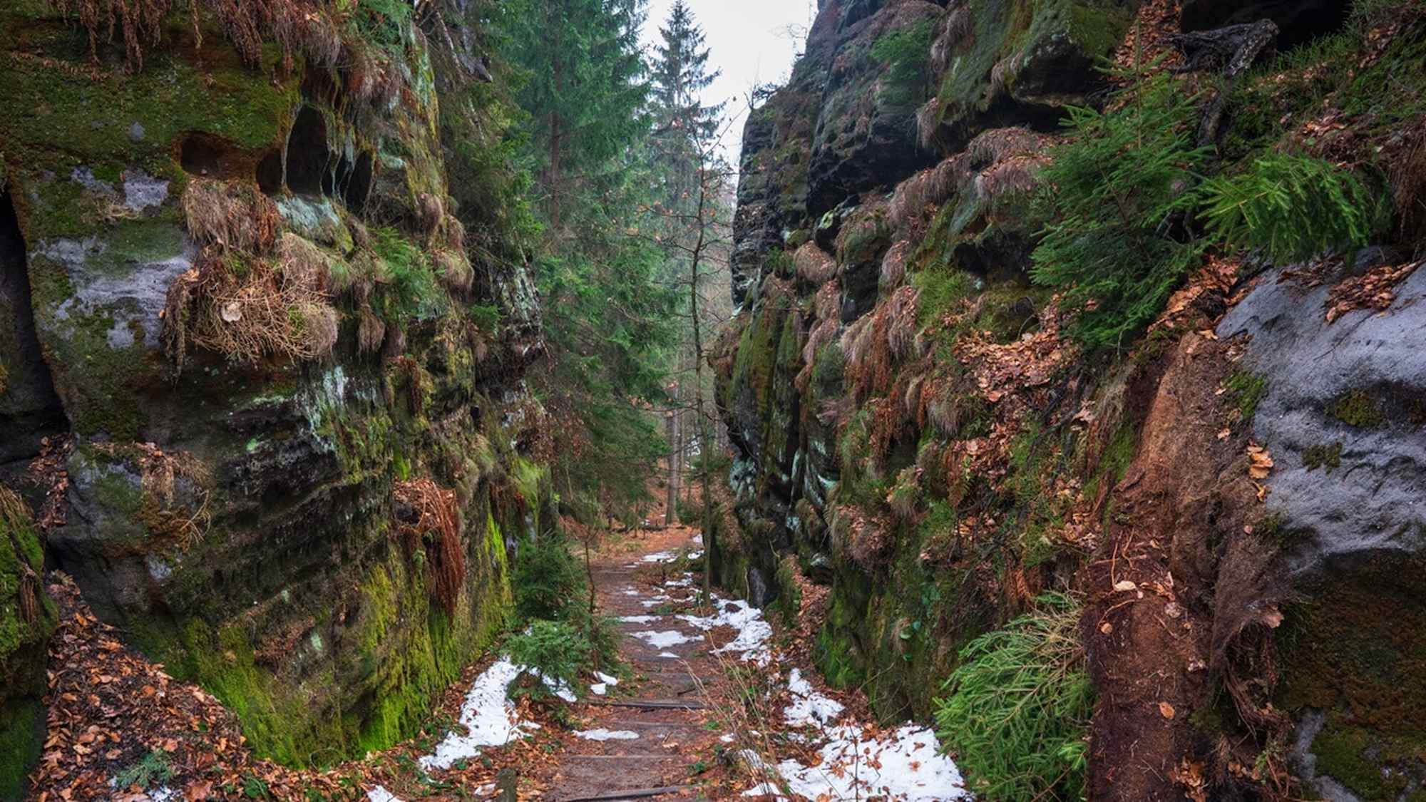 Wurzelweg