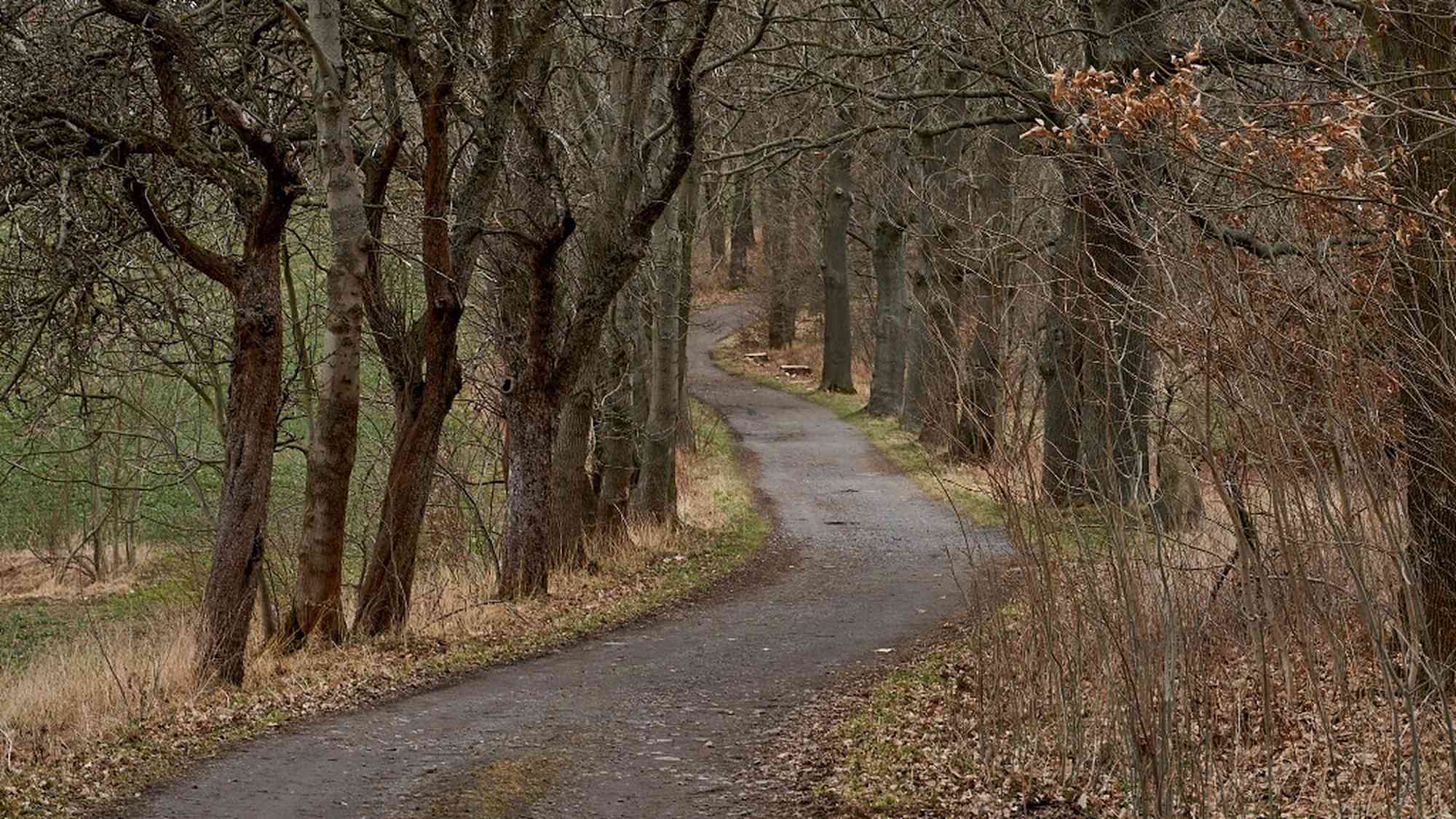 Wanderweg bei Stolpen