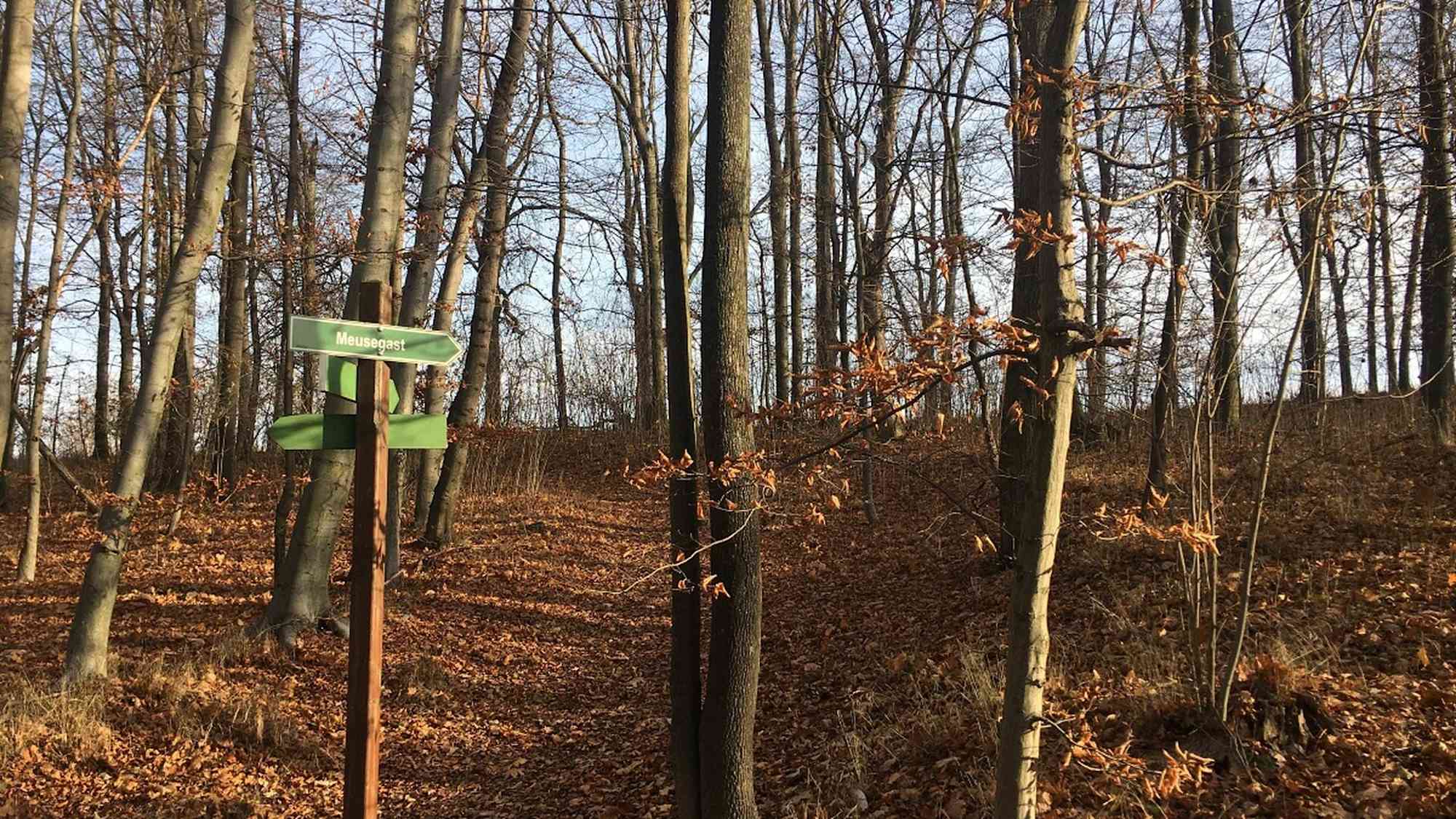 Wanderweg oberhalb von Schloss Weesenstein