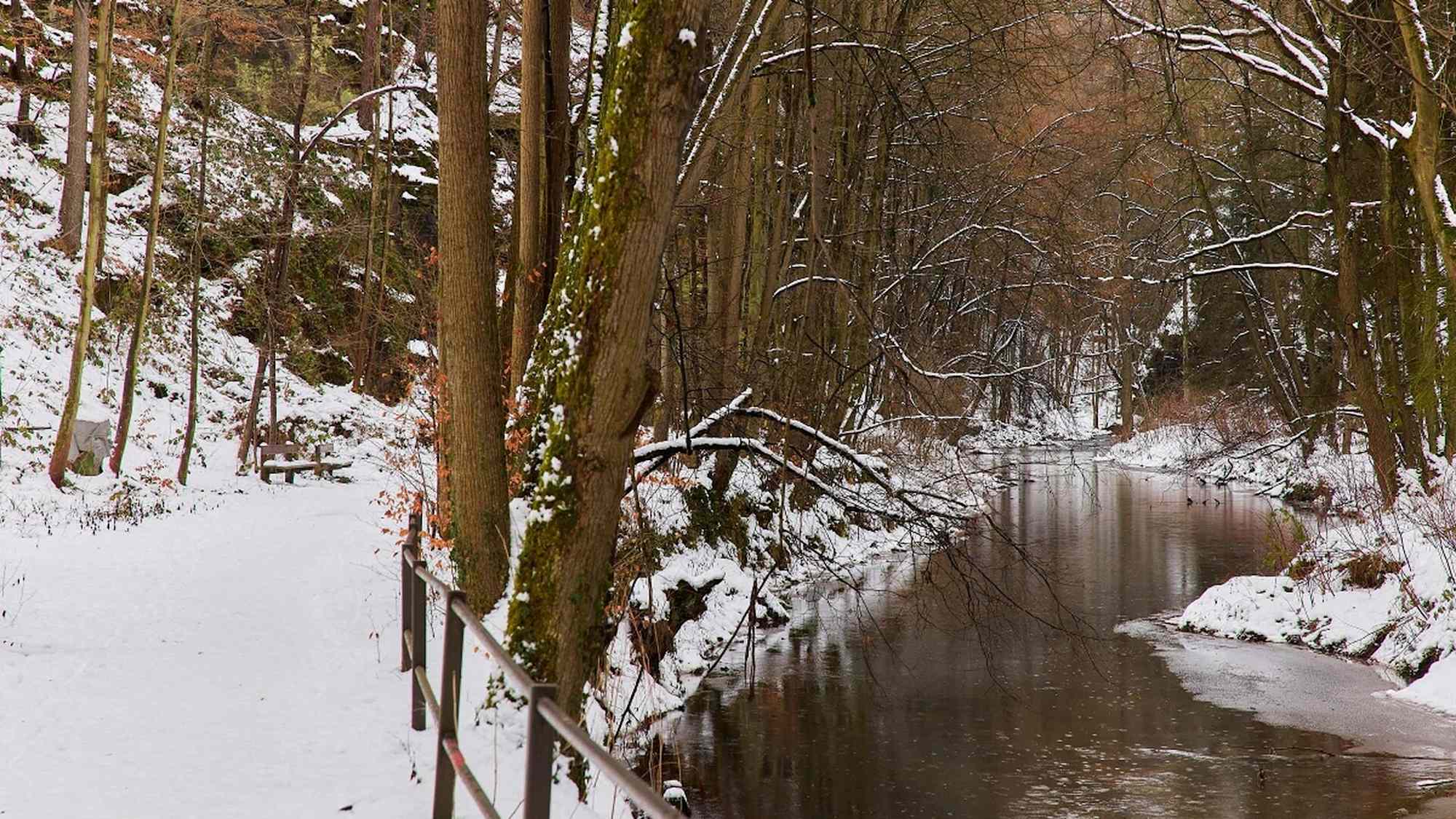 Liebethaler Grund
