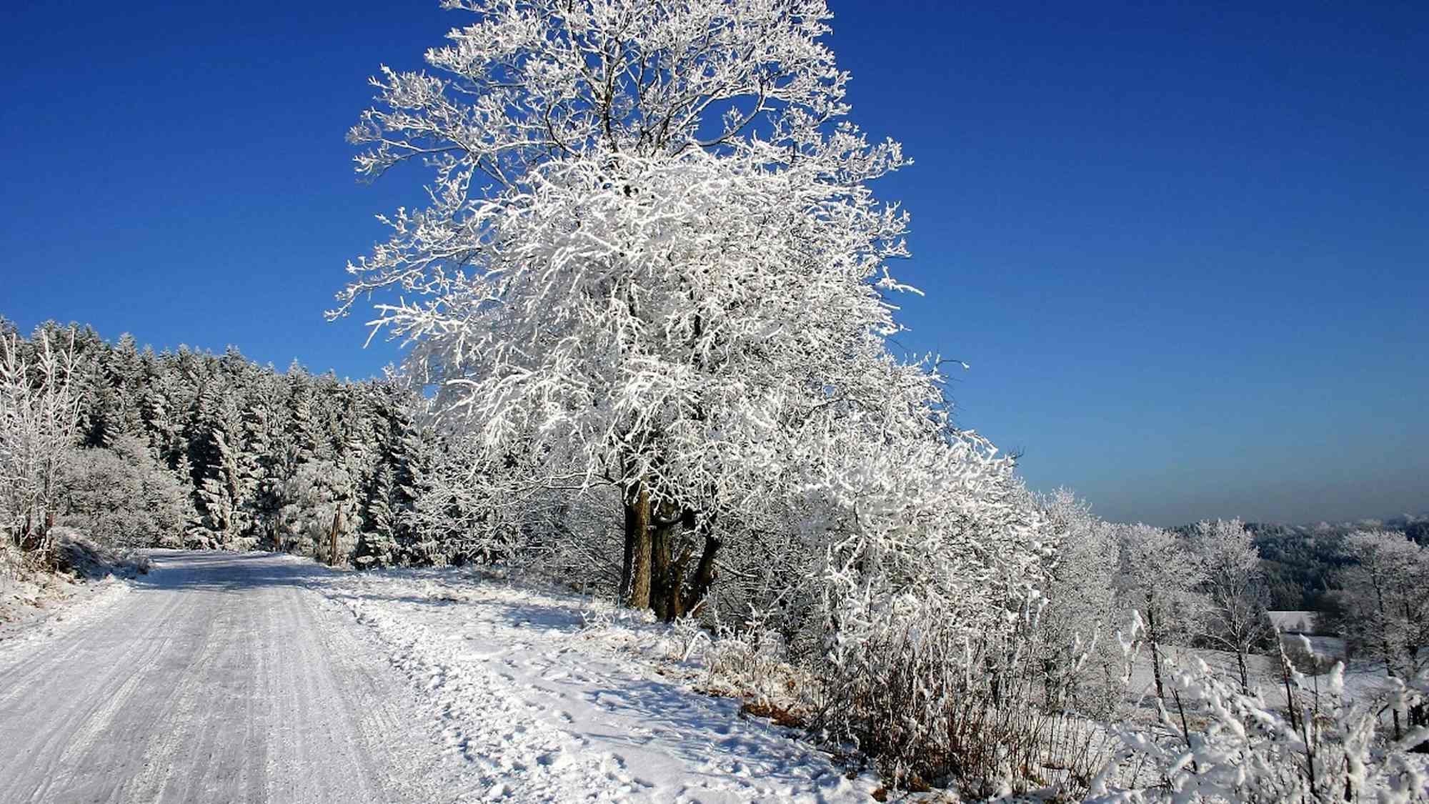 Weg hinauf zum Wachberg
