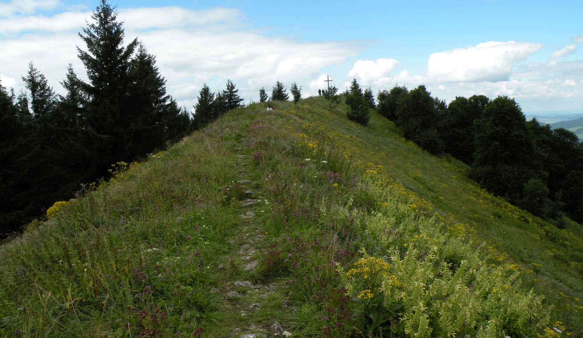 Am Weg zum Gipfelkreuz