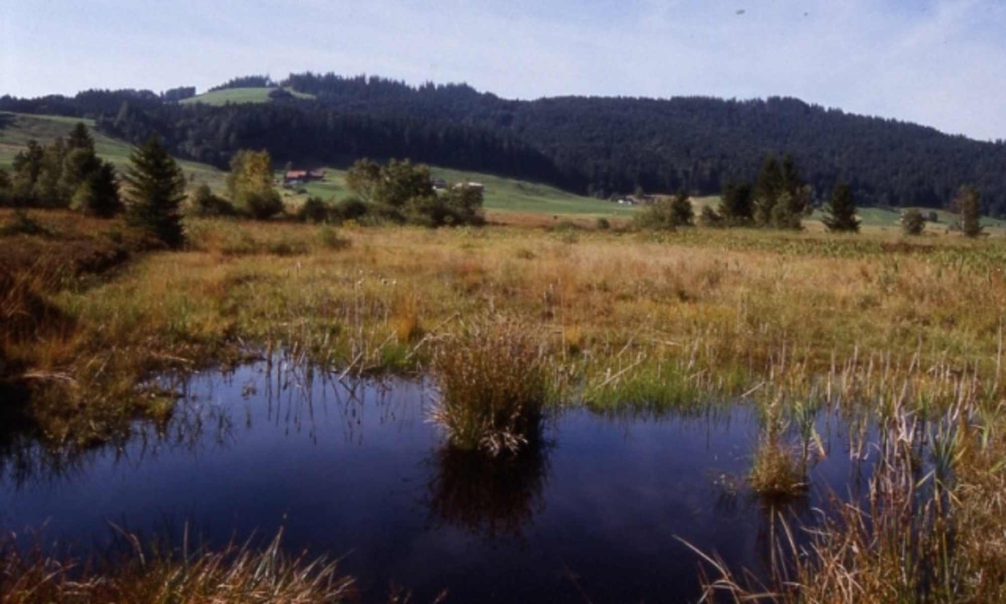 Hochmoor von Rothenthurm