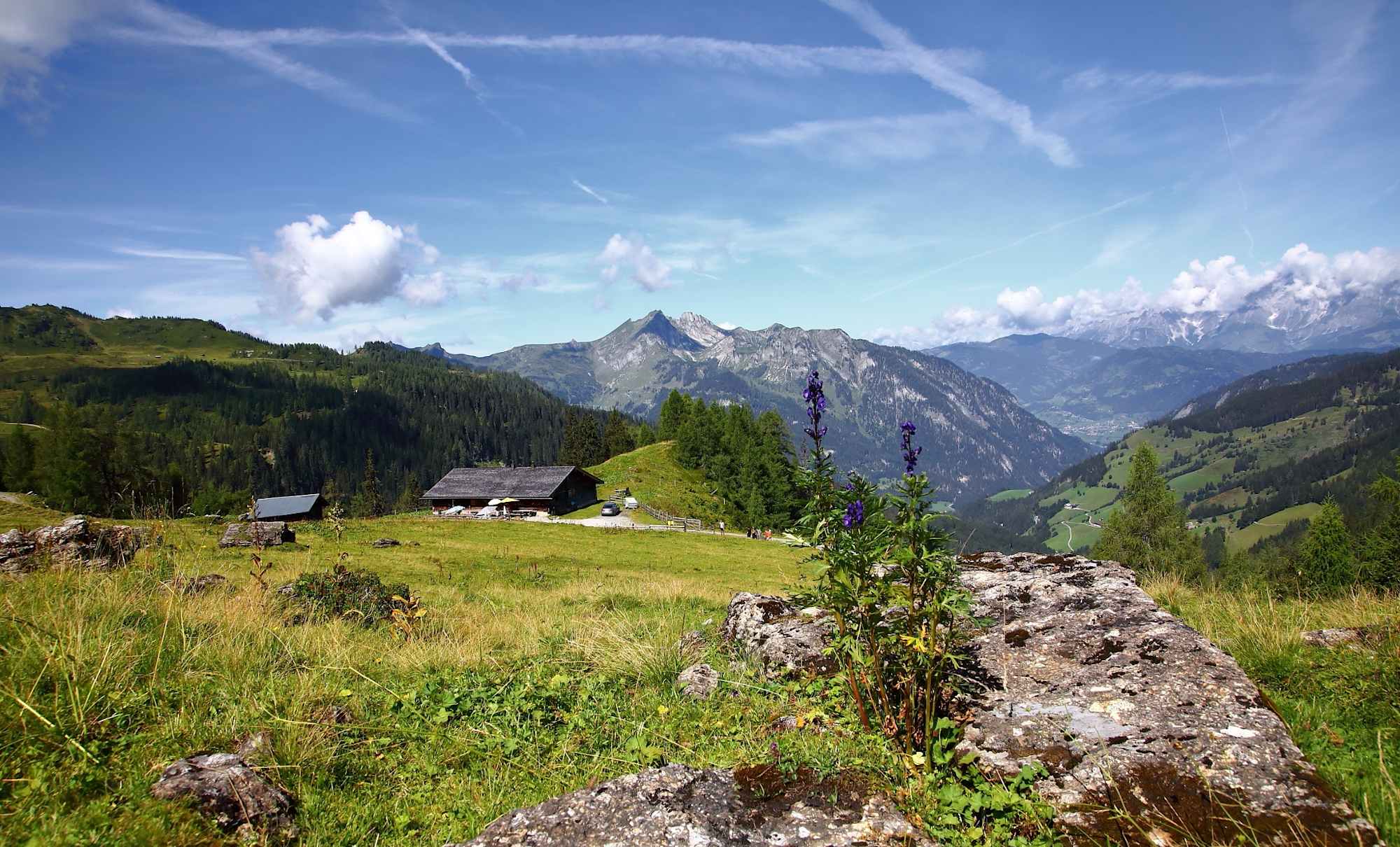 Großwildalm