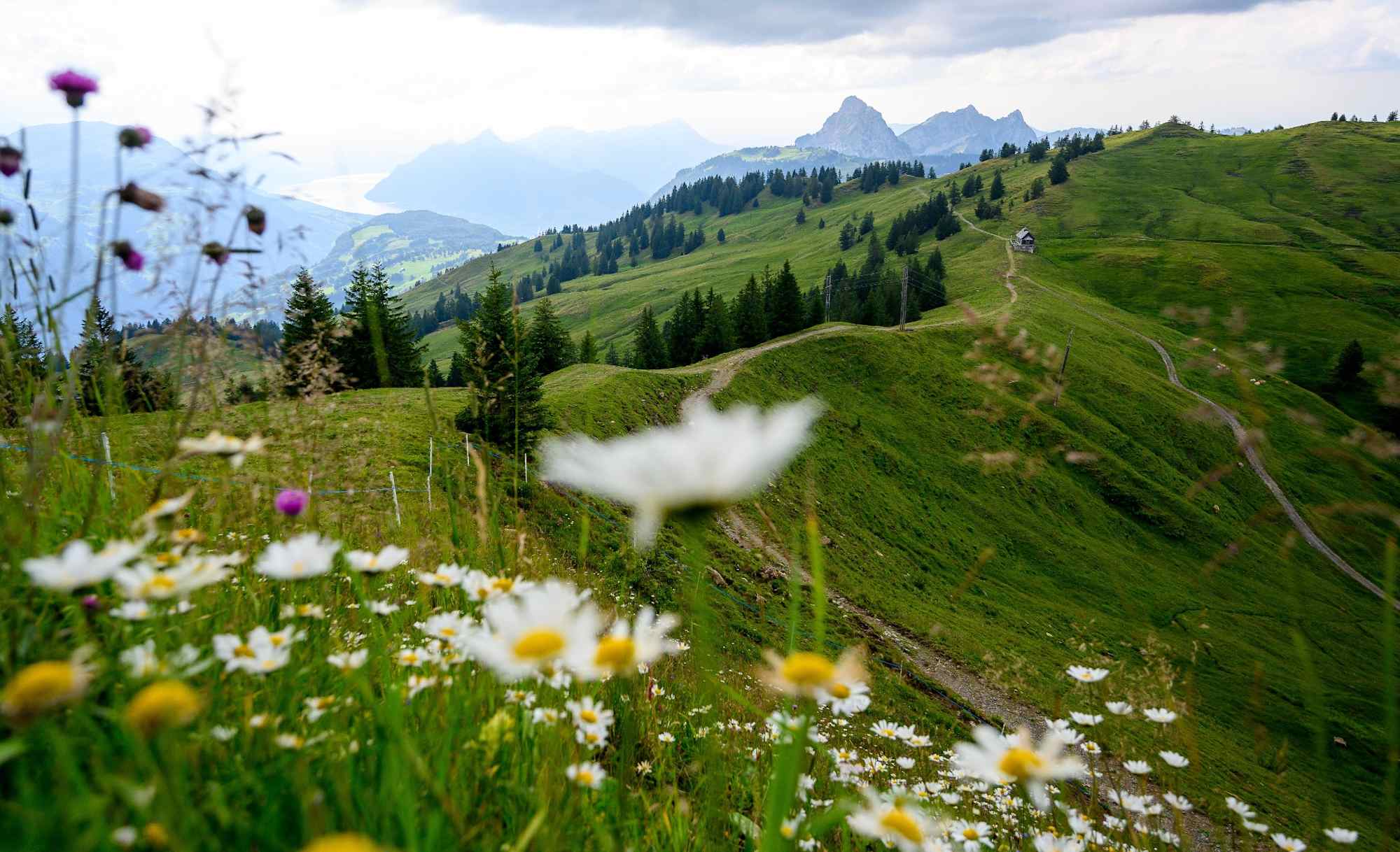 Aussicht auf den Weg vom Spirstock nach Ibergeregg.