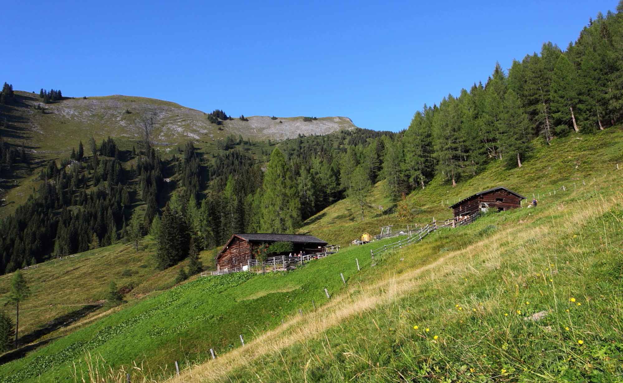 Die Karseggalm