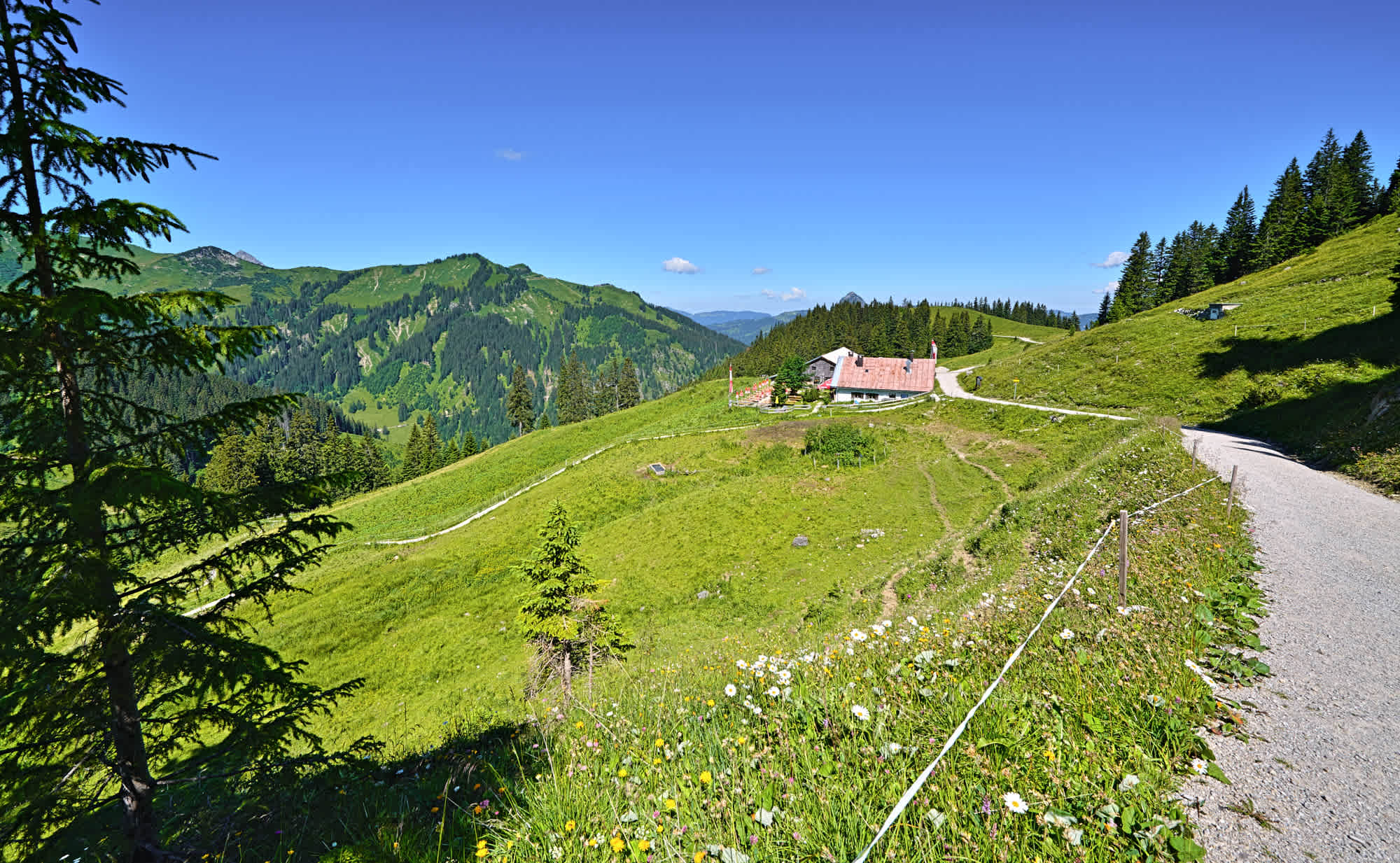 Nesselwängler Edenalpe