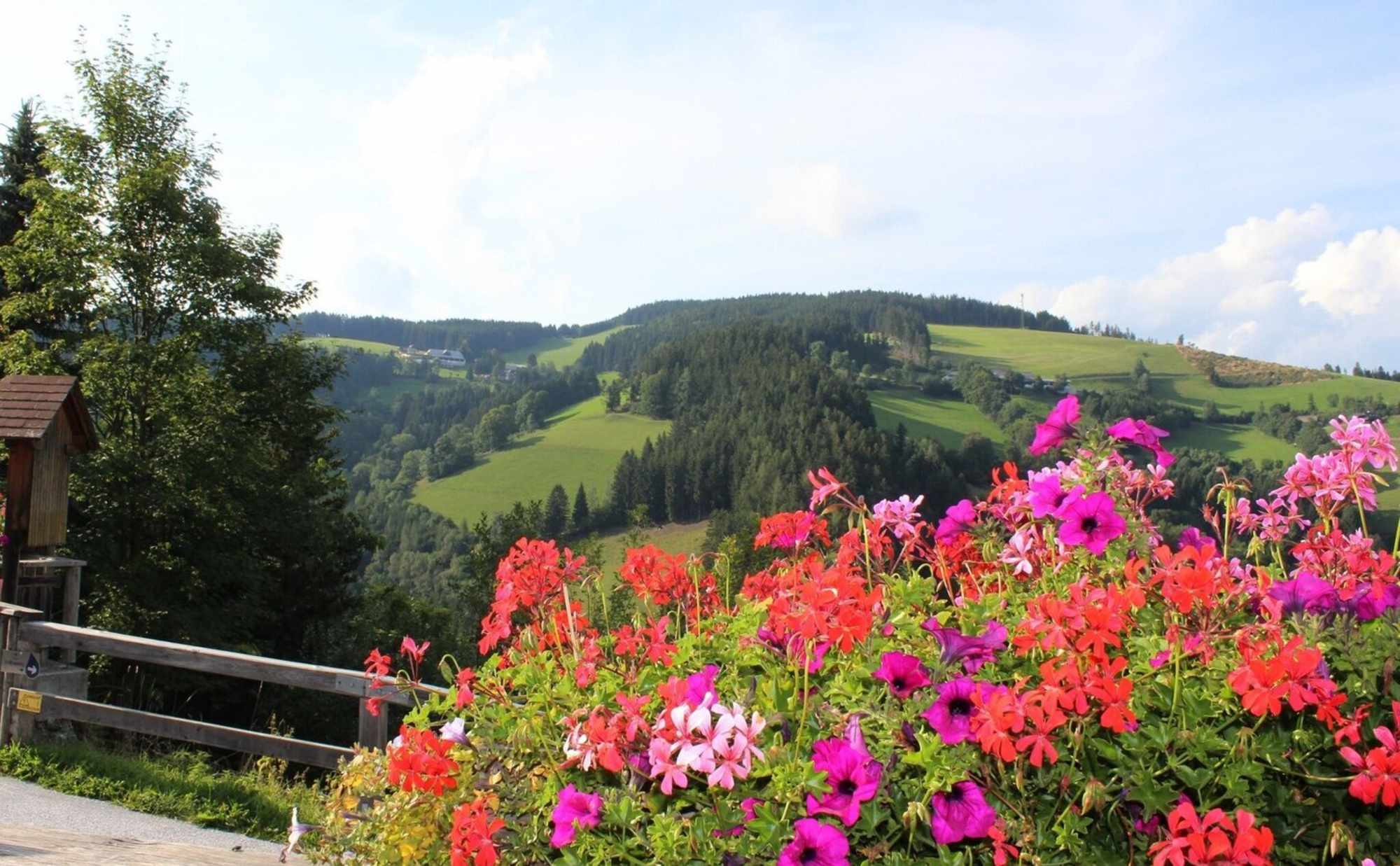 Aussicht Heilbrunn