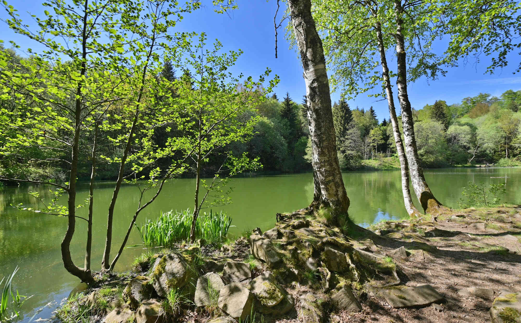 Basaltsee
