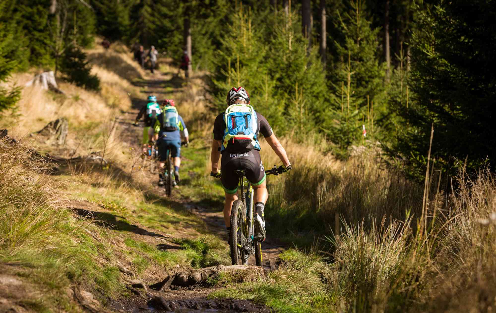 Mountainbiken im Erzgebirge