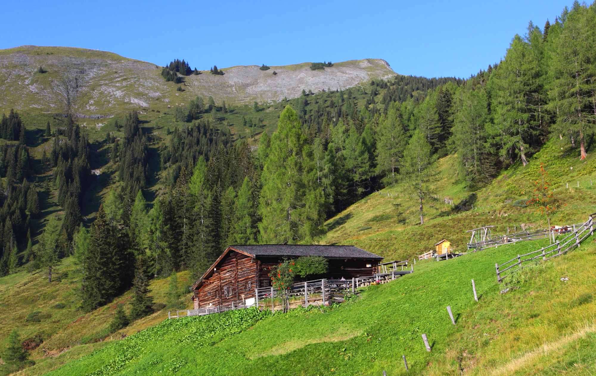 Die urige Kasereggalm