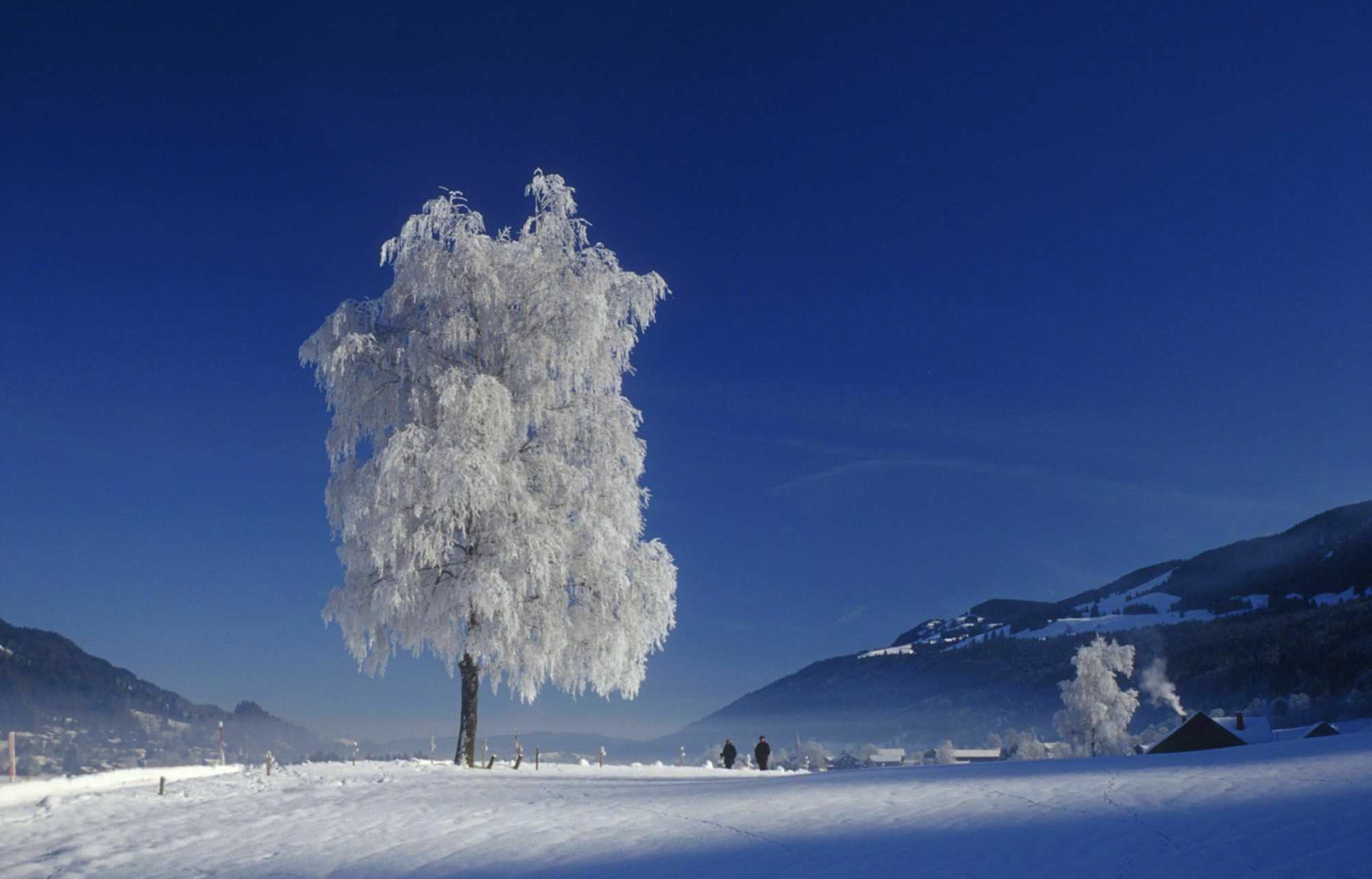 Oberstaufen Winter Thalkirchdorf 