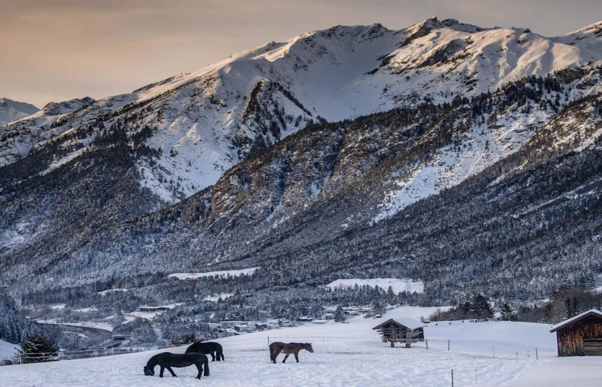 Winterwanderung oberhalb von Strengen 
