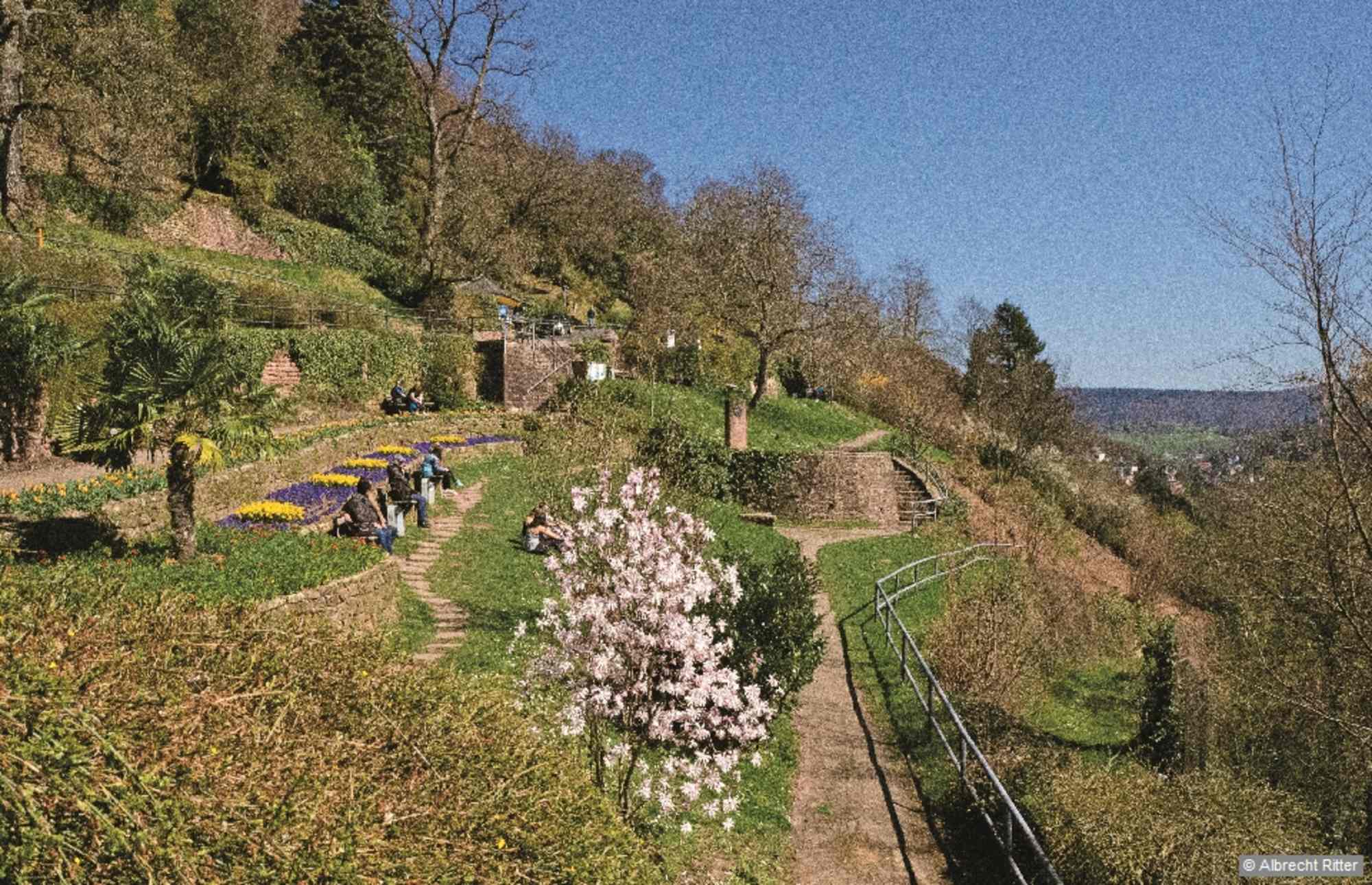 Philosophenweg