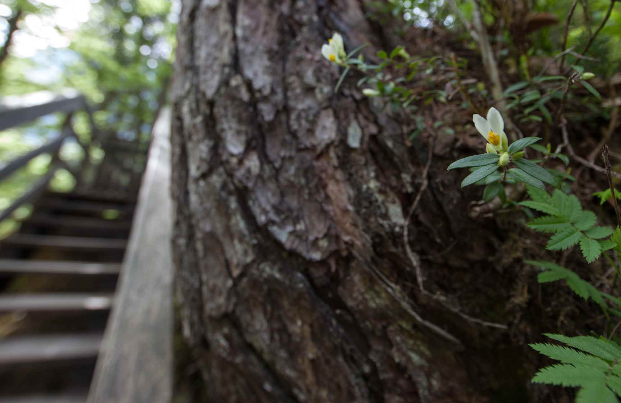 In der Vorderkaserklamm