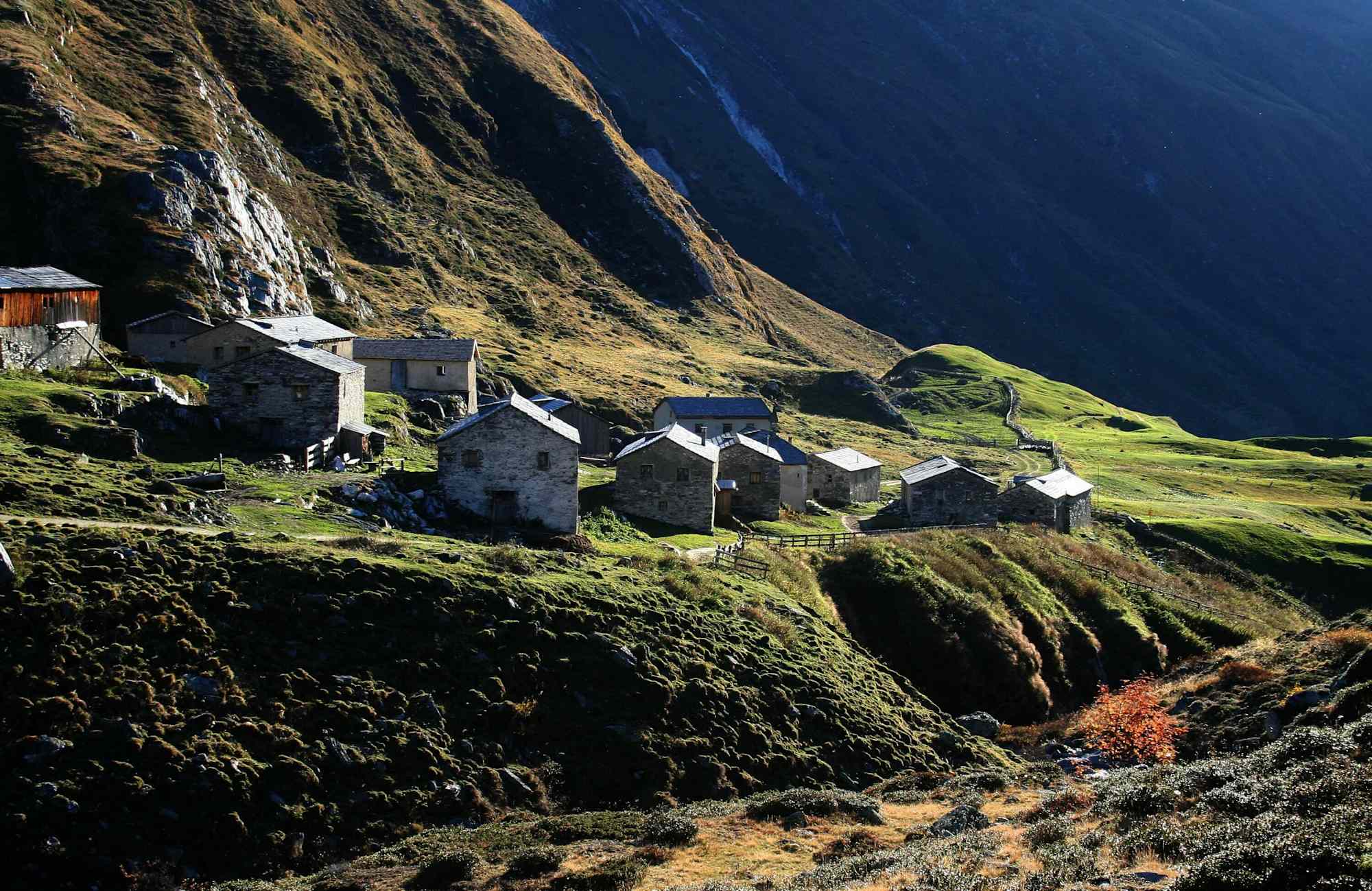 Die Jagdhausalm