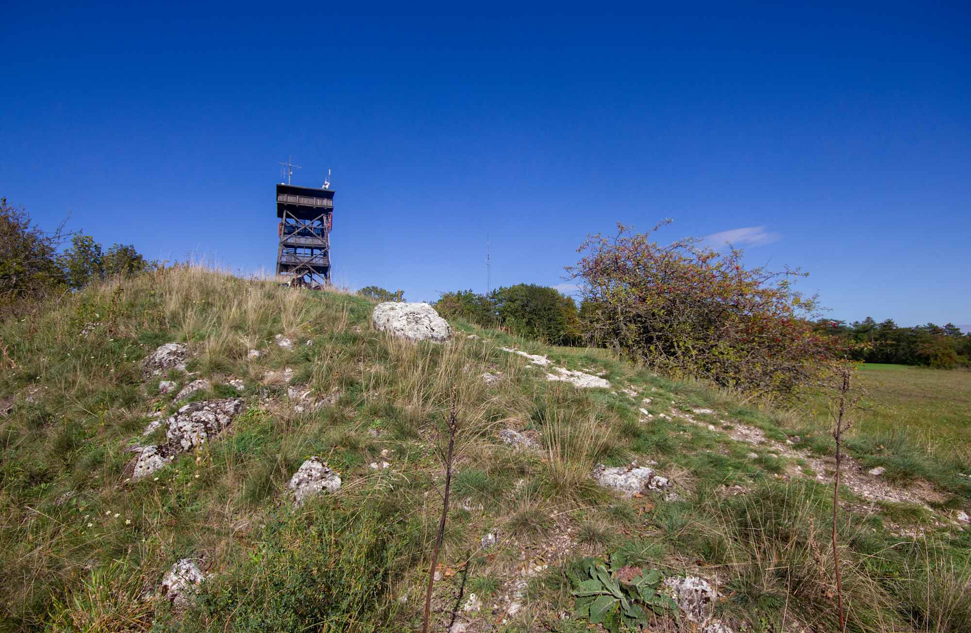 Felstrockenrasen Oberleis