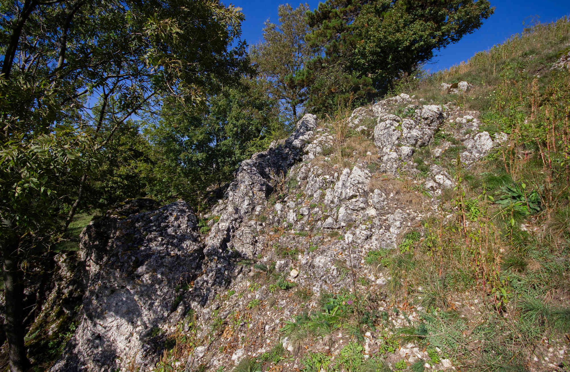 Felstrockenrasen Oberleis