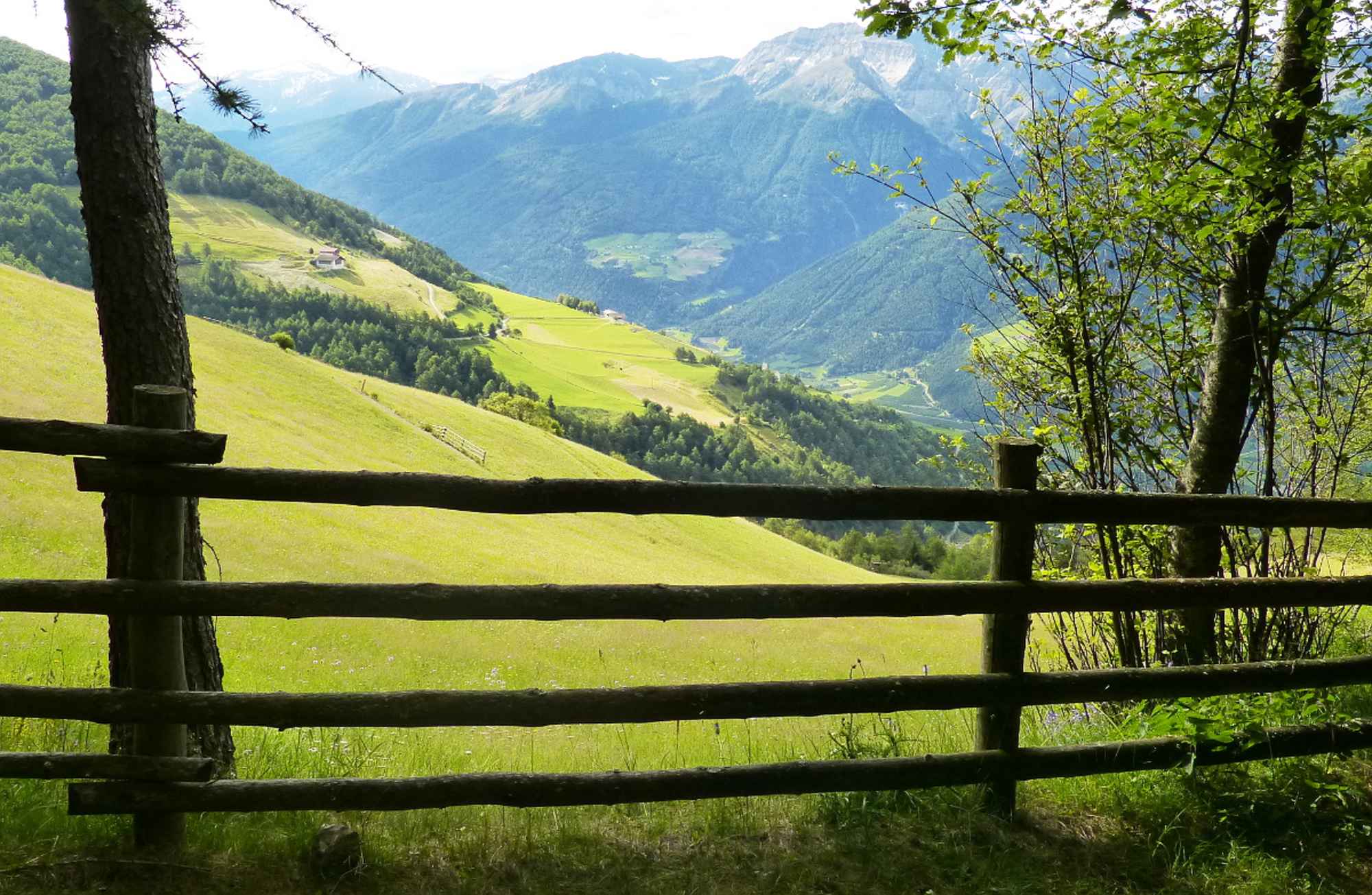 Vingscher Höhenweg - Etappe 3