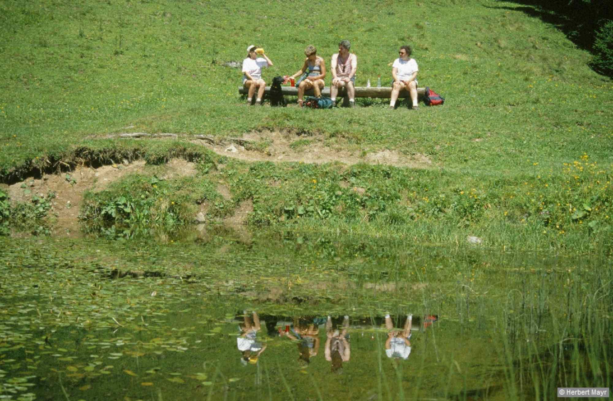 Vom Fritzensee geht es auf dem Feldweg Richtung Bartholomäberg bergab zu einem Feuchtgebiet mit Einblick ins Silbertal.